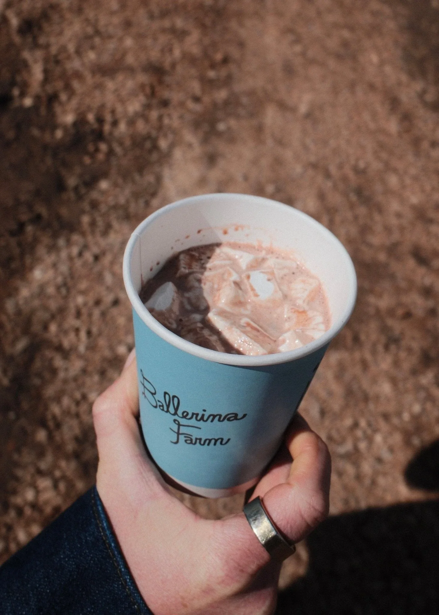 Creamy Protein Hot Chocolate