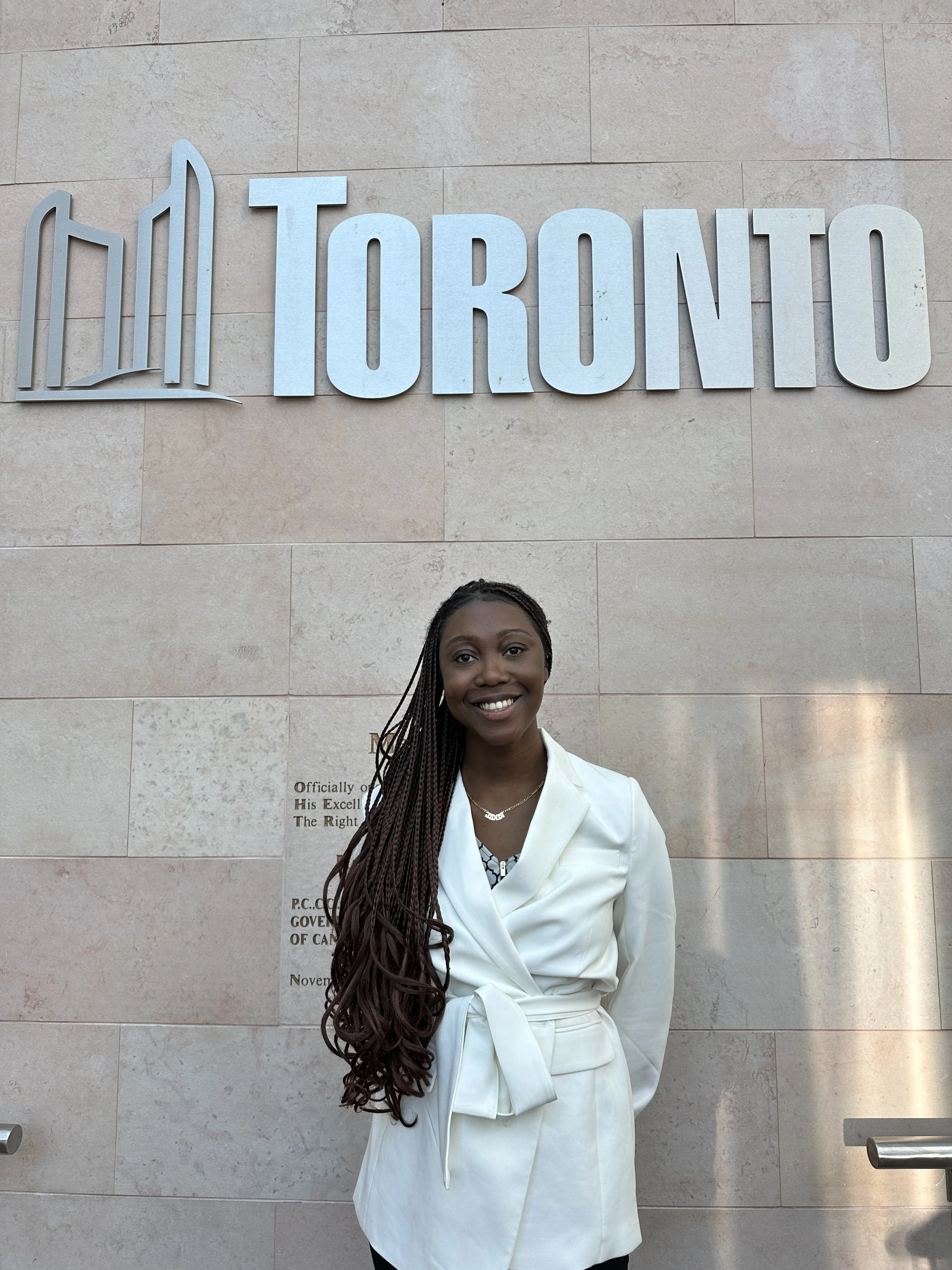 Toronto Urban Fellows Program: A Young Professional's Guide to ...