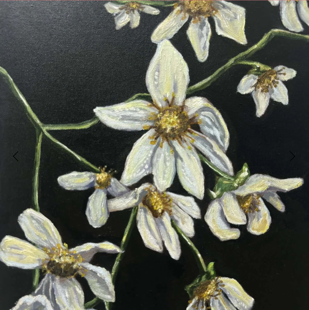 Wilting Daisies - Charlotte Meekins