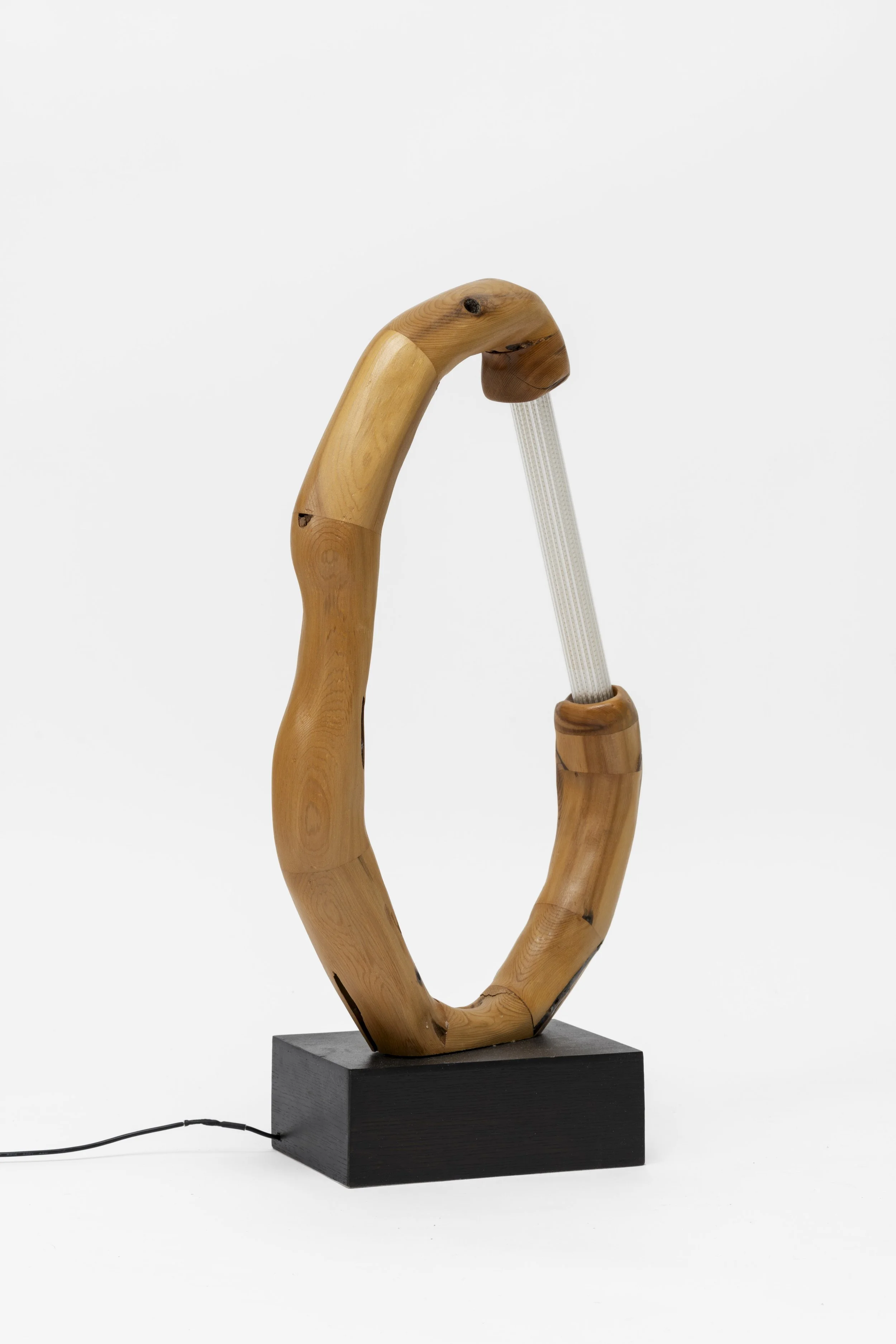 A desk lamp with a base and arm made of bent wood, resembling a wooden hoop, with a light-colored cord extending from the base.