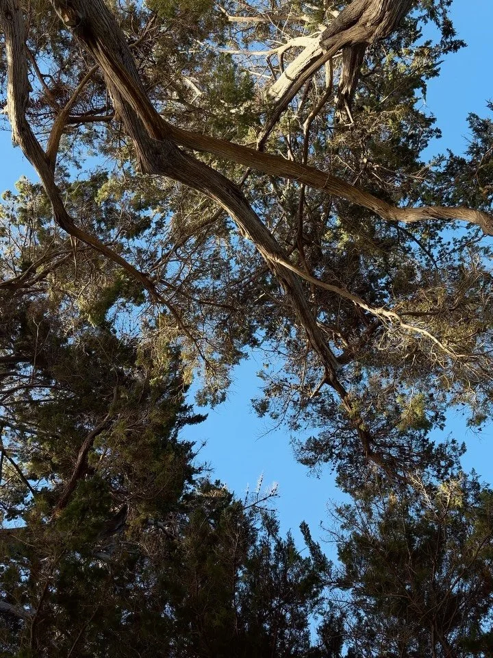 &ldquo;And summer&rsquo;s lease hath all too short a date&hellip;&rdquo; - Shakespeare

We&rsquo;re going into Autumn here on the Matakana Coast. The evenings are getting a teensy bit cooler and the sun is setting just a little bit earlier&hellip;A b