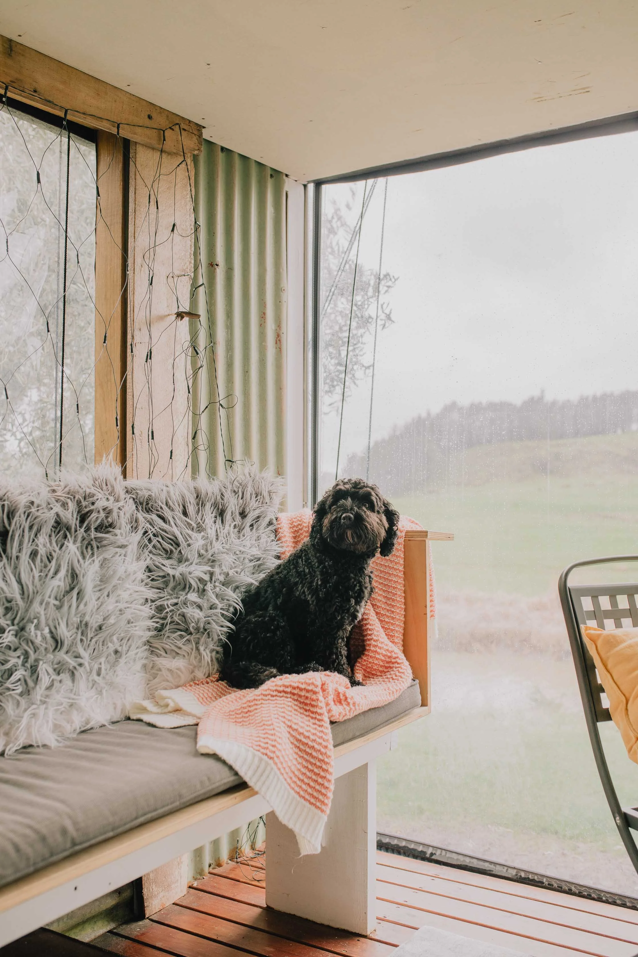 Dog friendly accomodation_The_River_Bothy_Mangonui_New_Zealand.jpg