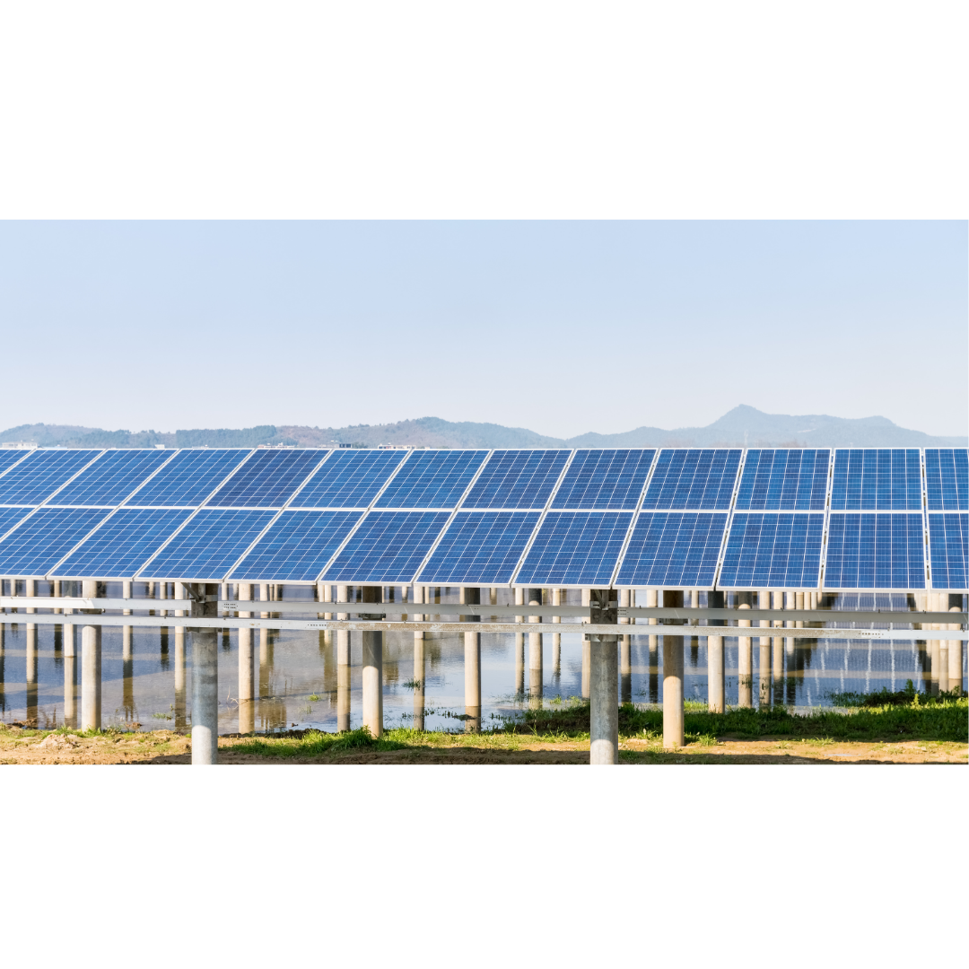Solar Panel Windshield Solar-Powered Windshields: Are They the Future? — Long Horn Autoglass