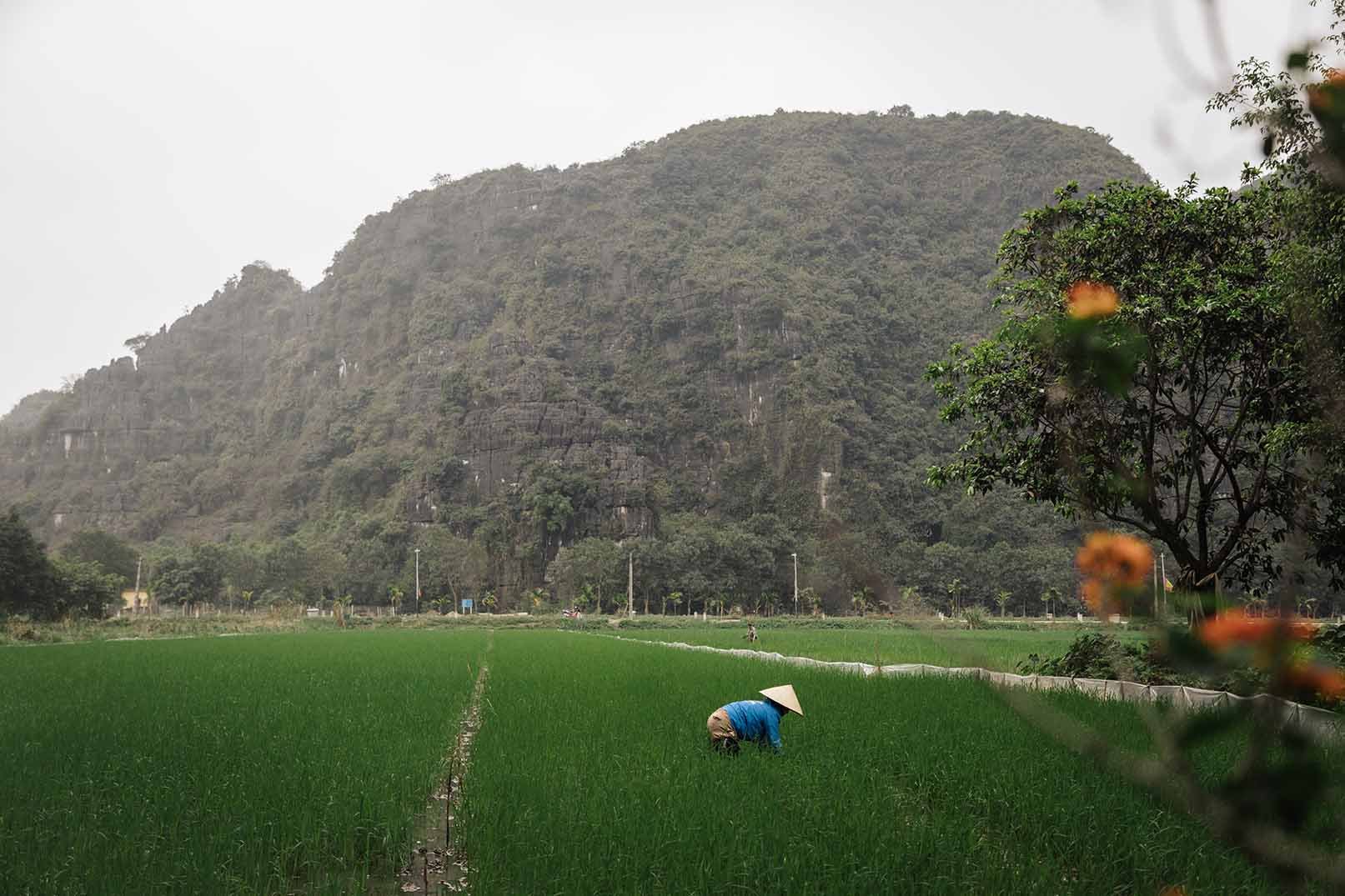 Top 10 Things to Do in Ninh Binh: A Complete Travel Guide