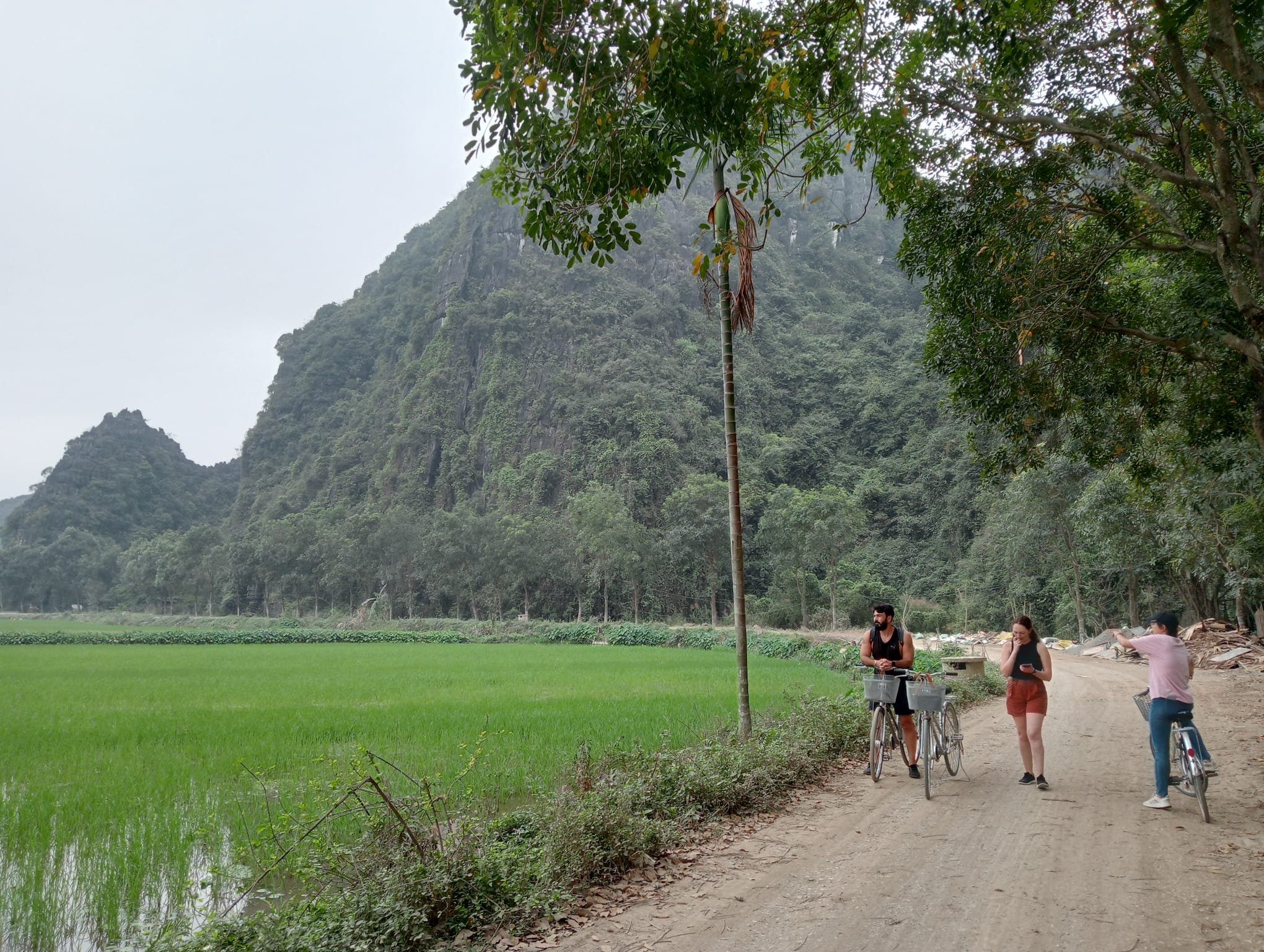 Top 10 Things to Do in Ninh Binh: A Complete Travel Guide