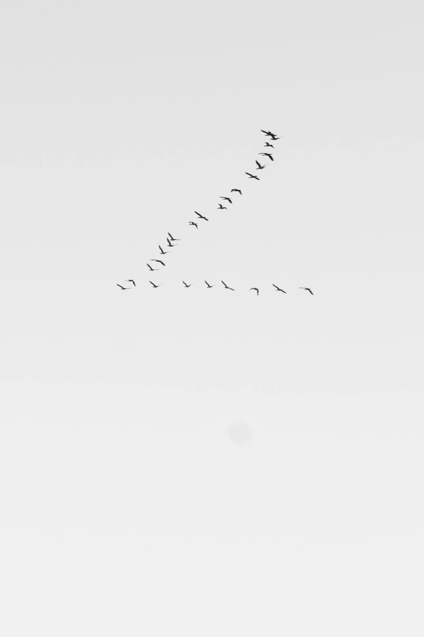 SM_BTS_JADEFERGUSON_@VISUALPOETSSOCIETY16.08.24-7256-2.jpeg