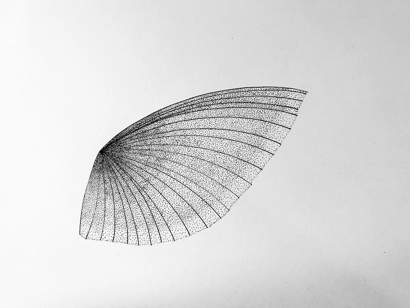 #blackandwhitesketch #sakuramicron #graphiklinemaker  #artwork #artwork #artgallery #art  #illustrationartists #illustration #sketch #sketching #sketchbook #blackandwhiteart #sketch_dailydose🔎 #sketchbookdrawings