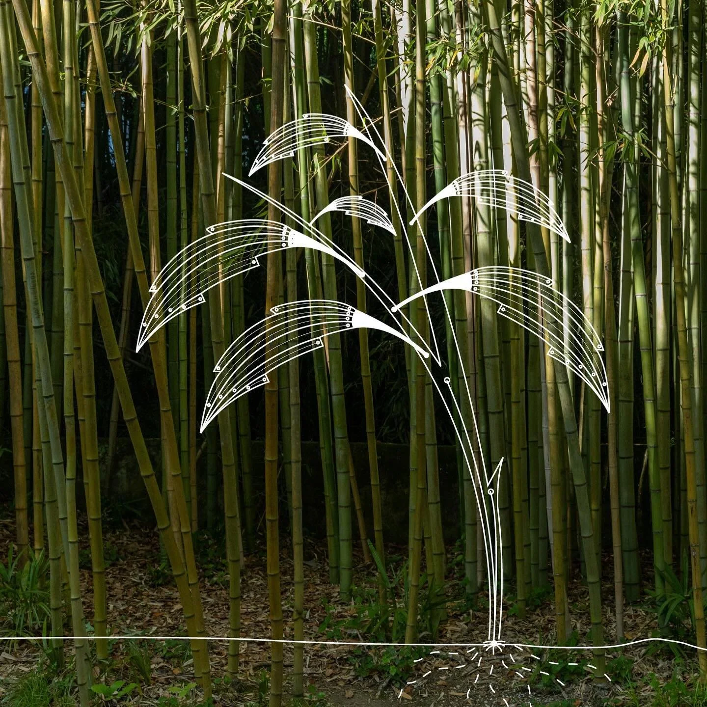 Digital Art Series #digitalart #illustrator