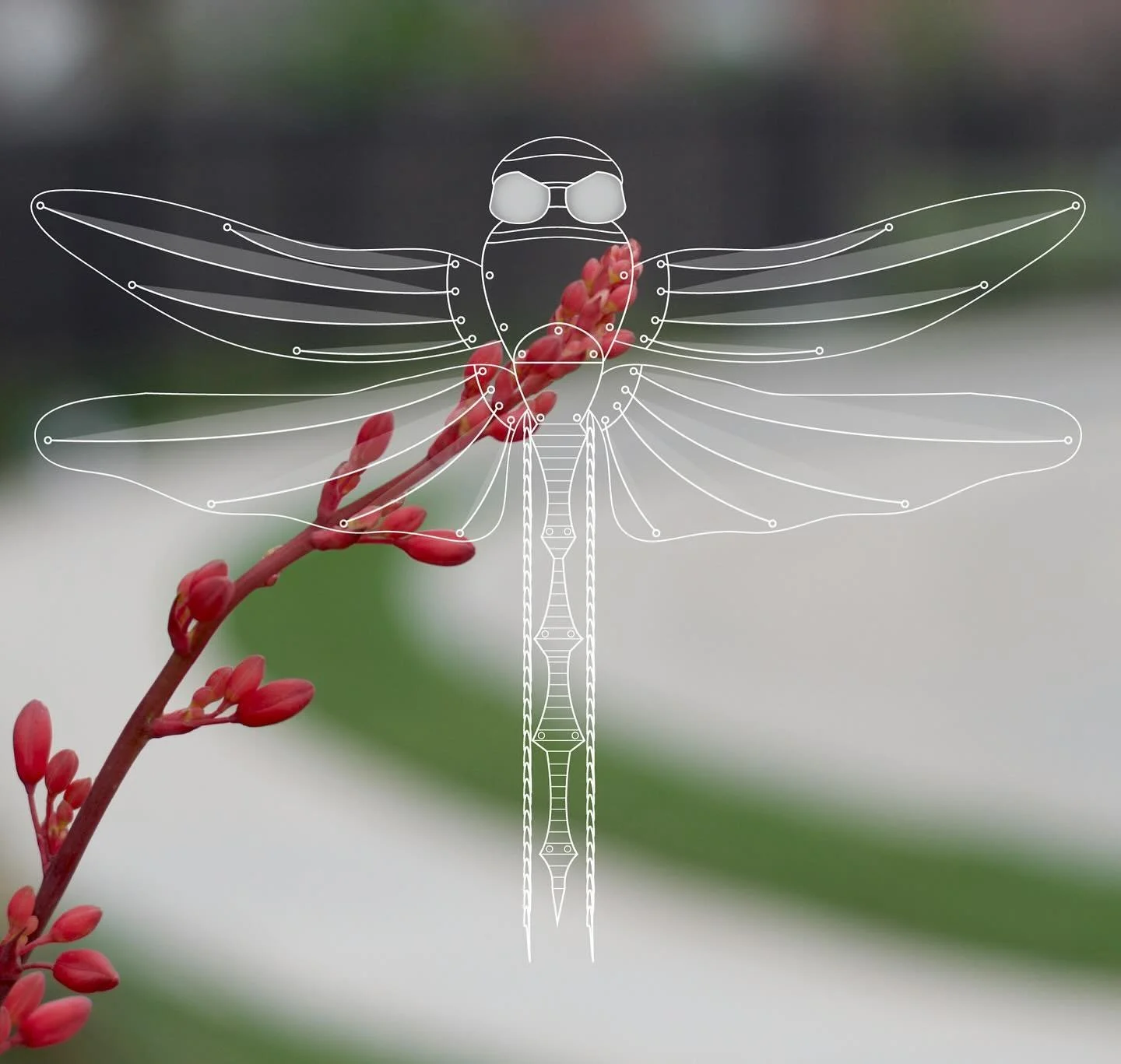 Digital Art Series #digitalart #illustration #illustrationartists #