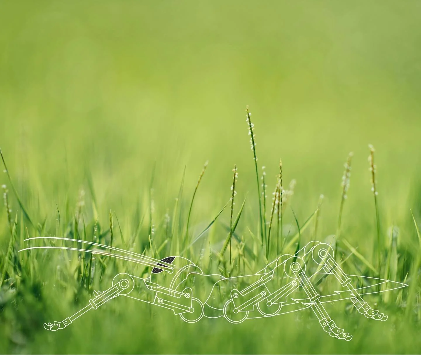 Digital Art Series #digitalart #digitalartist #illustration #illustrationartists