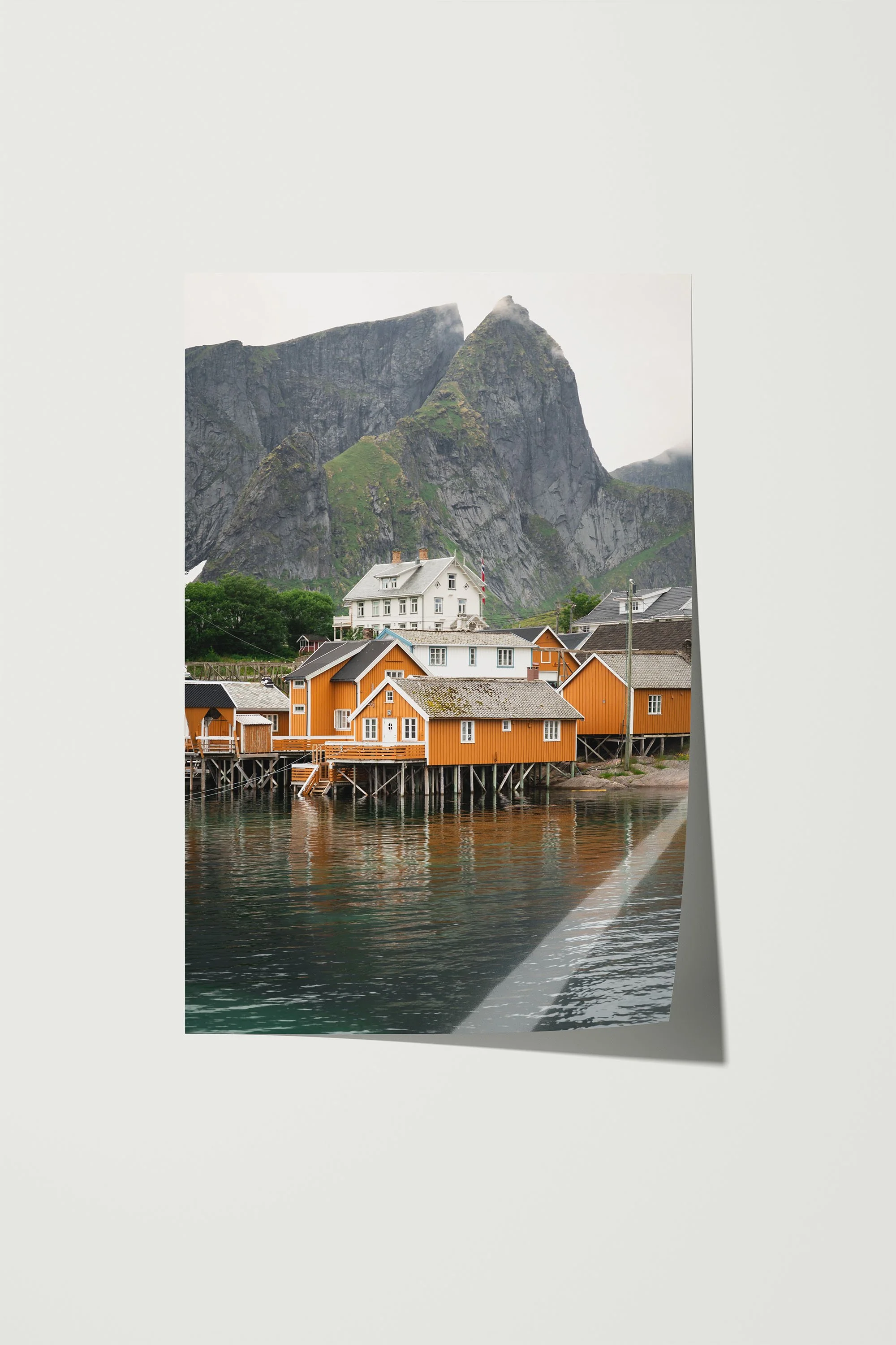 Lofoten's Yellow