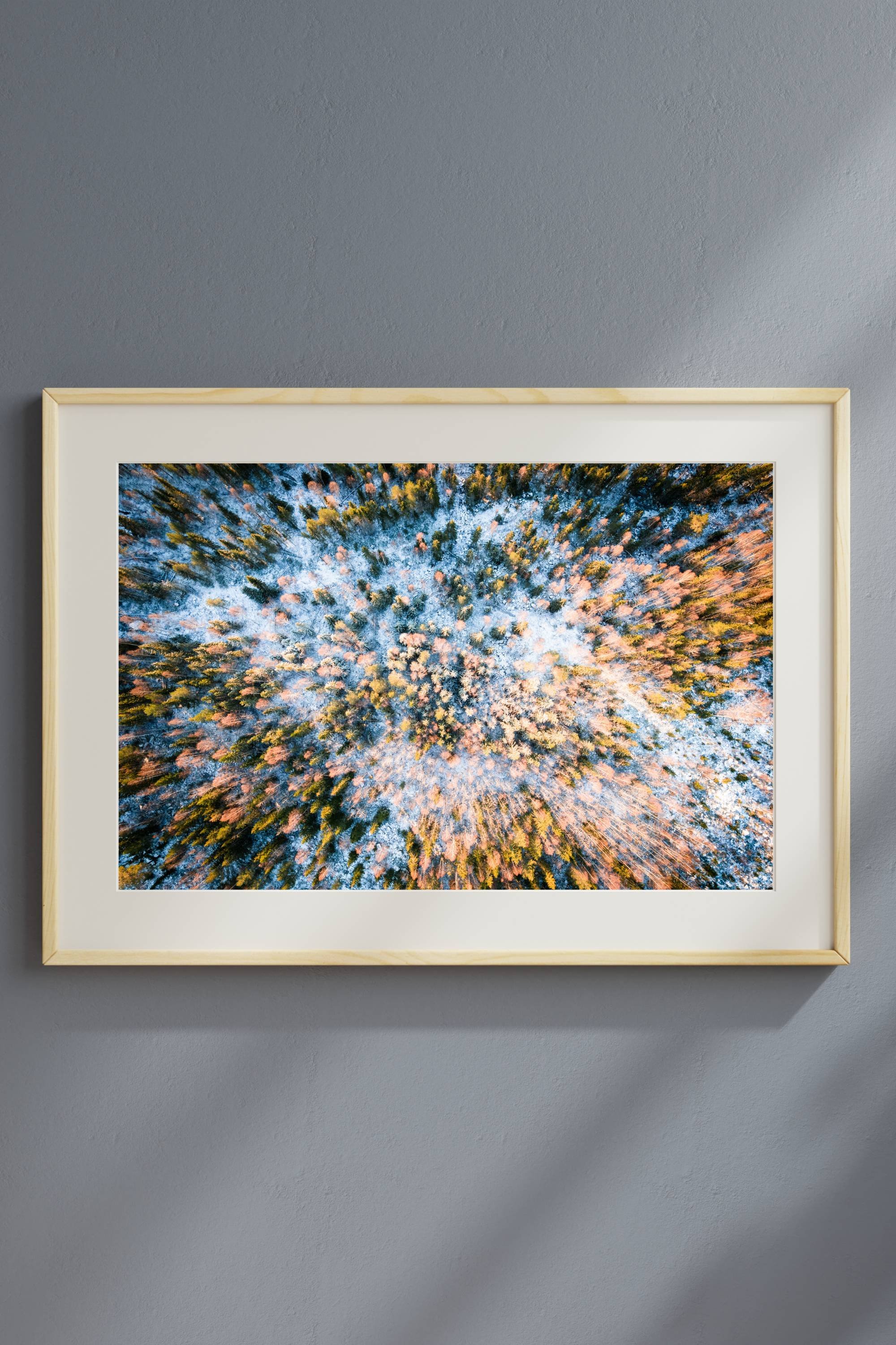 Autumn's Snowfall 9.jpg