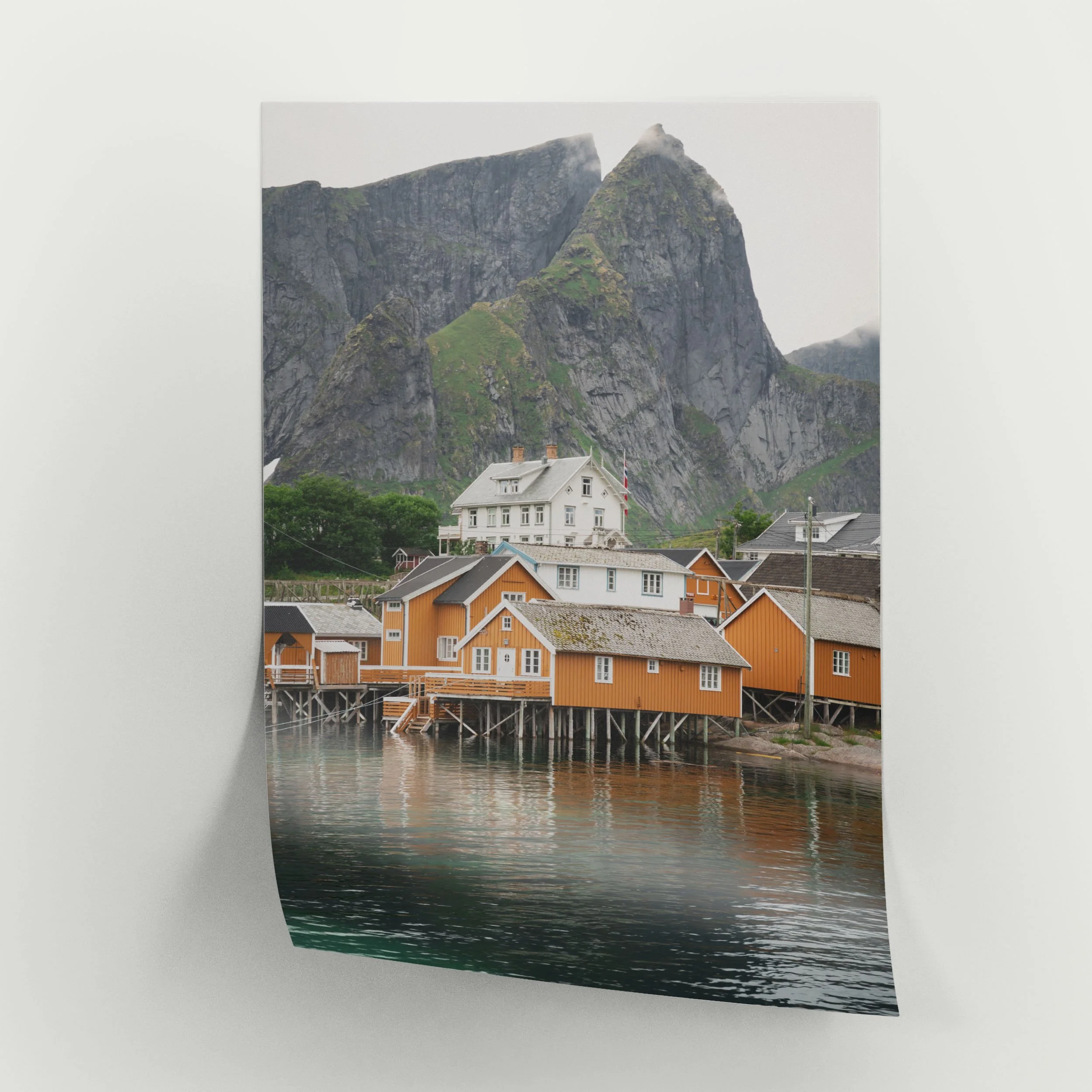 19. Lofoten's Yellow1.jpg