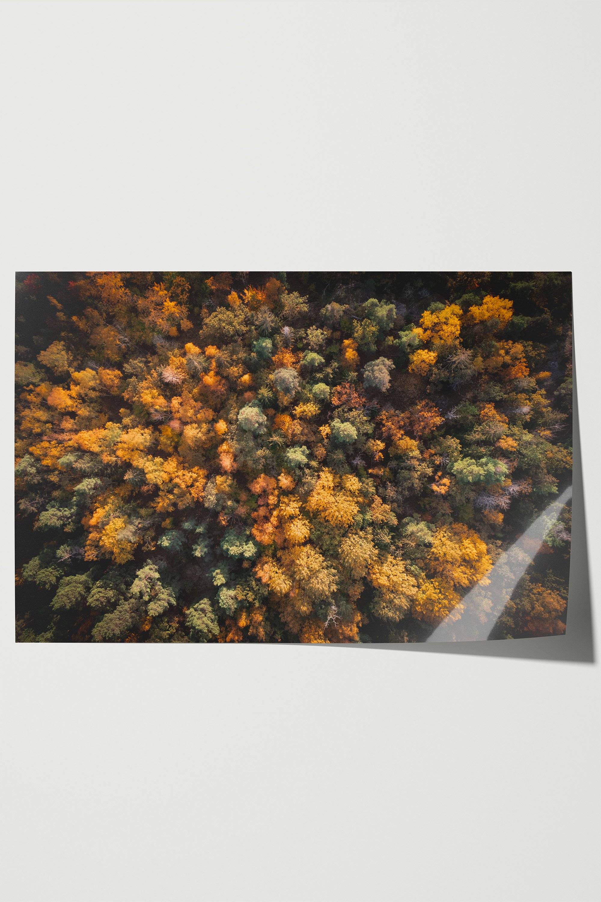 14. Falling into Autumn5.jpg