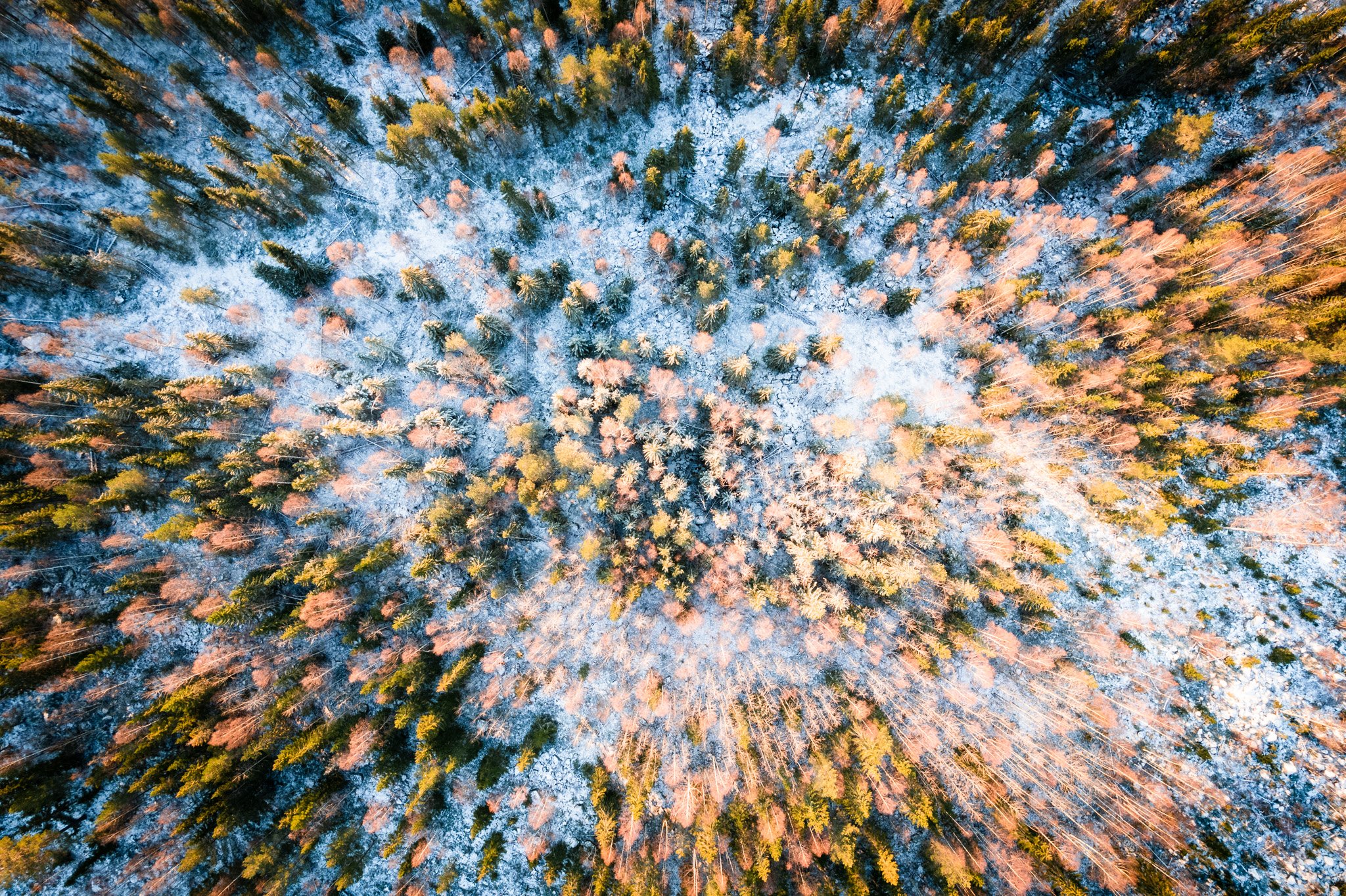 Autumn's Snowfall0.jpg