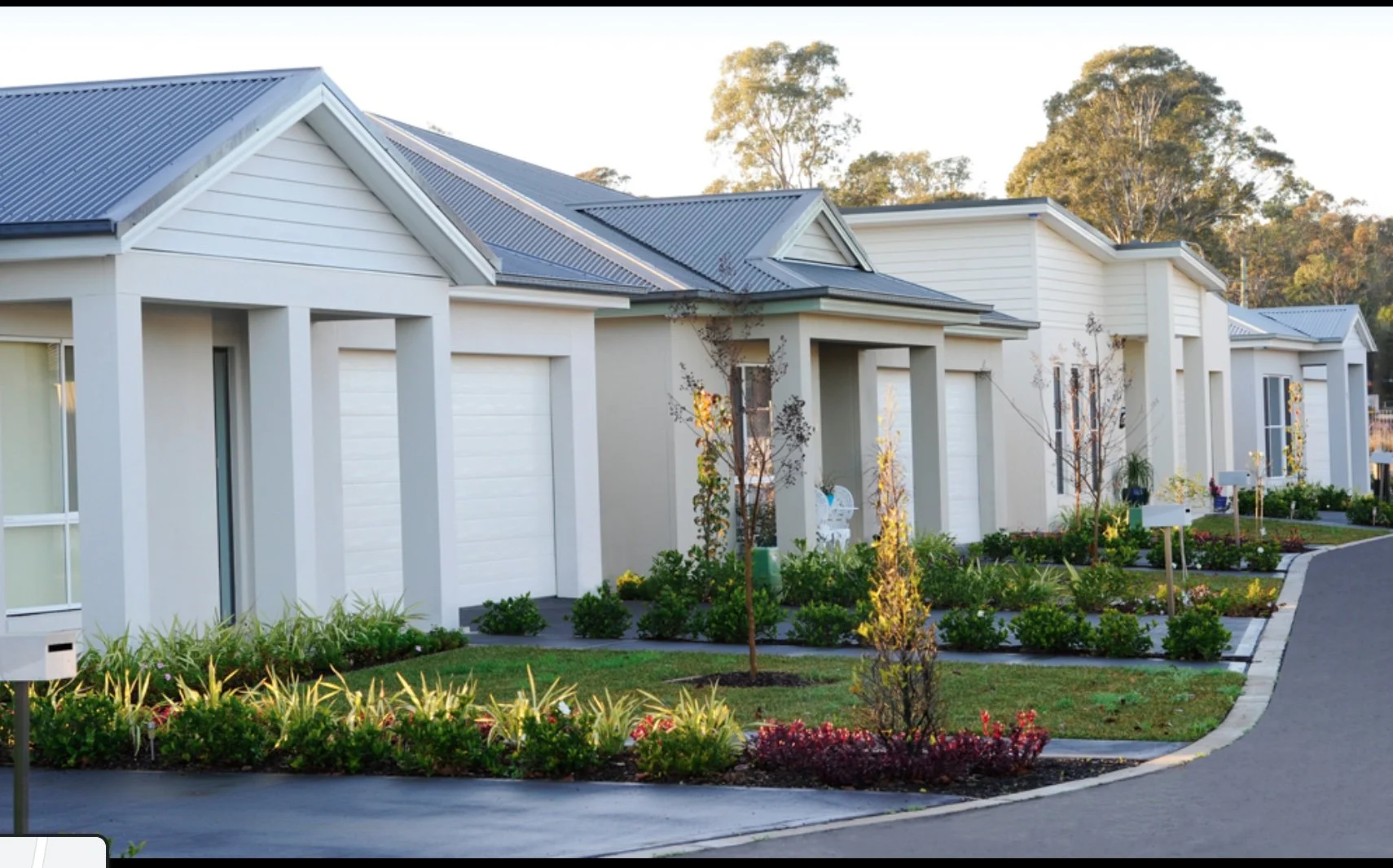 Anetgra Leppington .jpg