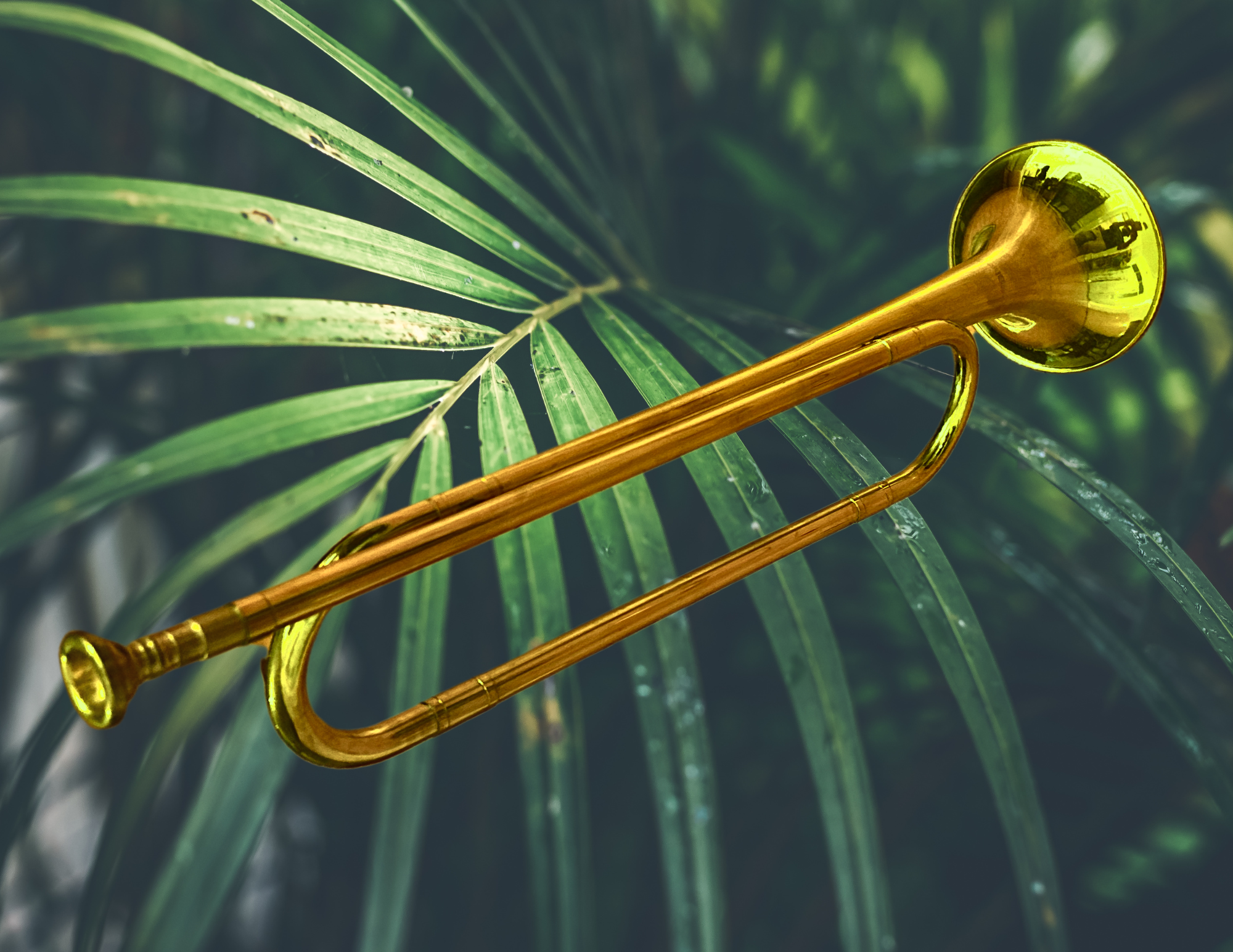 gold bugle 3.png