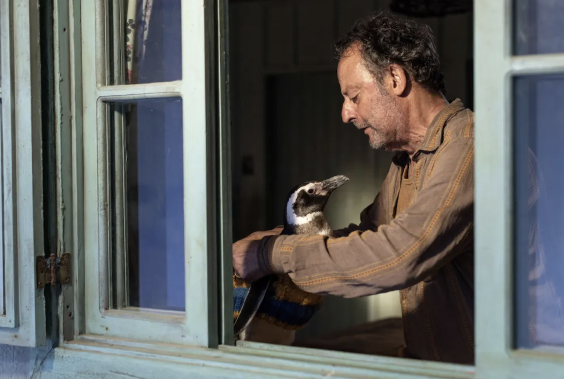 Bild B2 My Penguin Friend.png