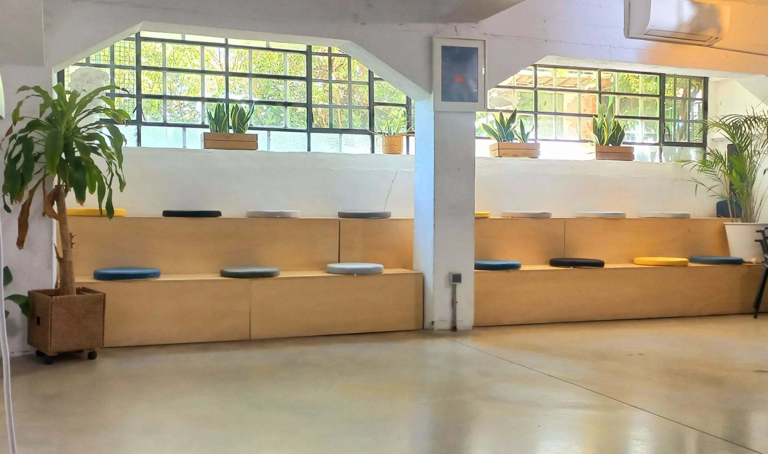 Interior de un espacio con paredes blancas, ventanas de vidrios con rejas, plantas en macetas de madera y cerámica, y bancos de madera con cojines en varios colores.