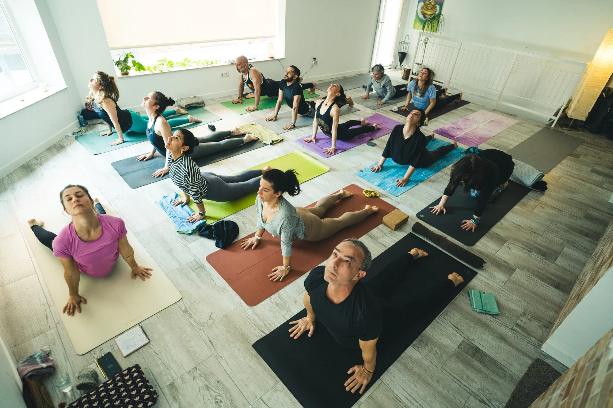 Grupo de personas en una clase de yoga en una sala con mucha luz natural, en posición de perro mirando hacia abajo en sus mats de yoga de diferentes colores.