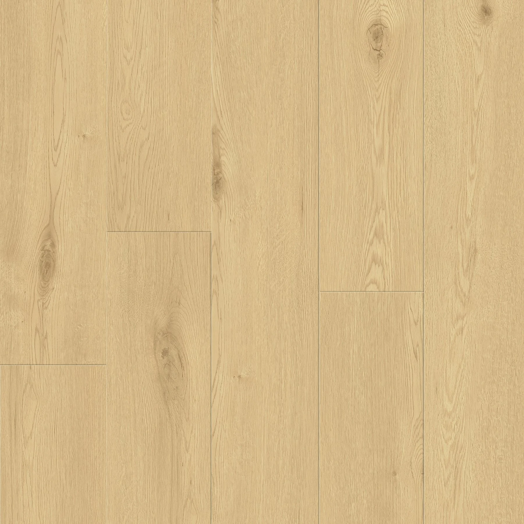 Serenia Classic 88119b.jpg