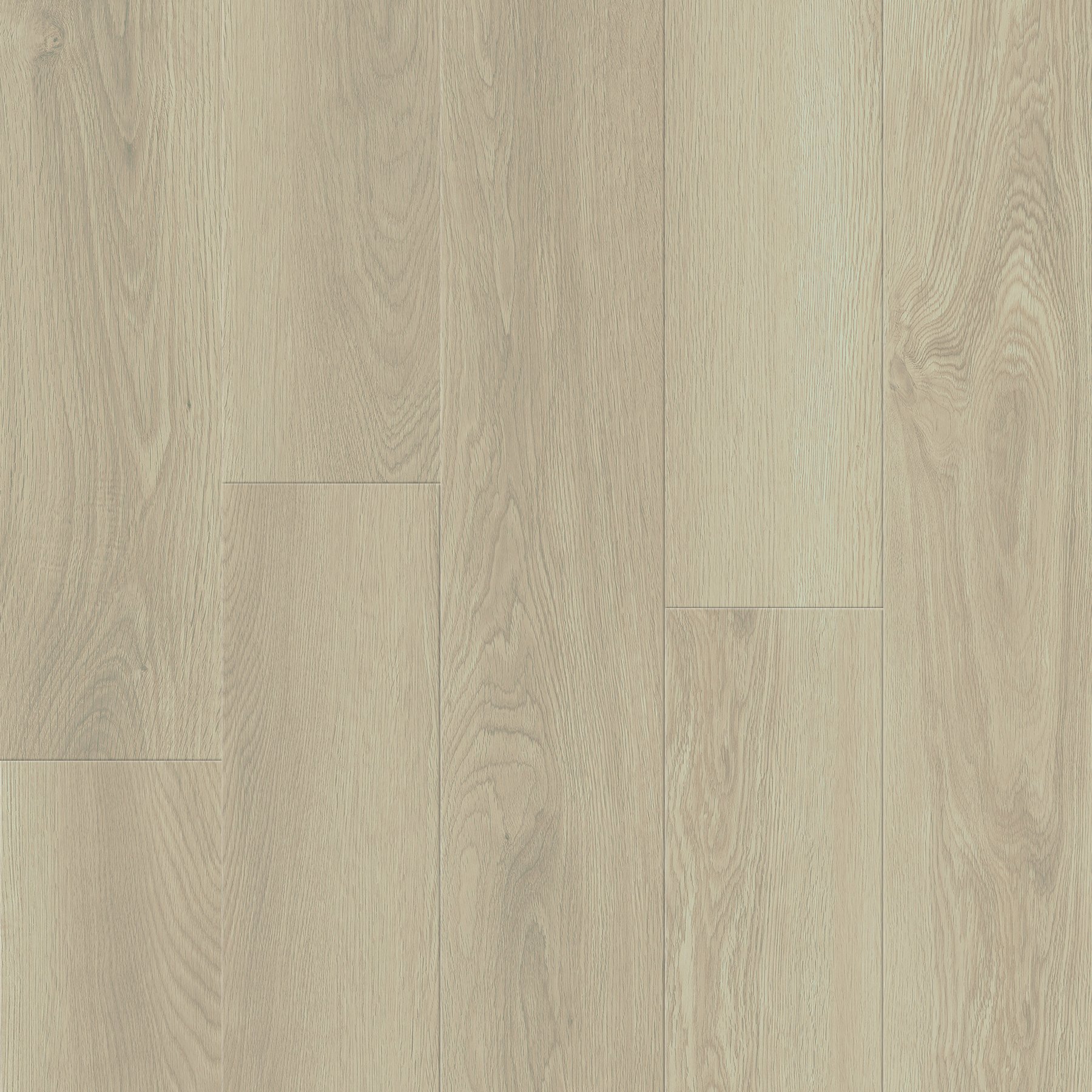 Serenia Classic 88120b.jpg