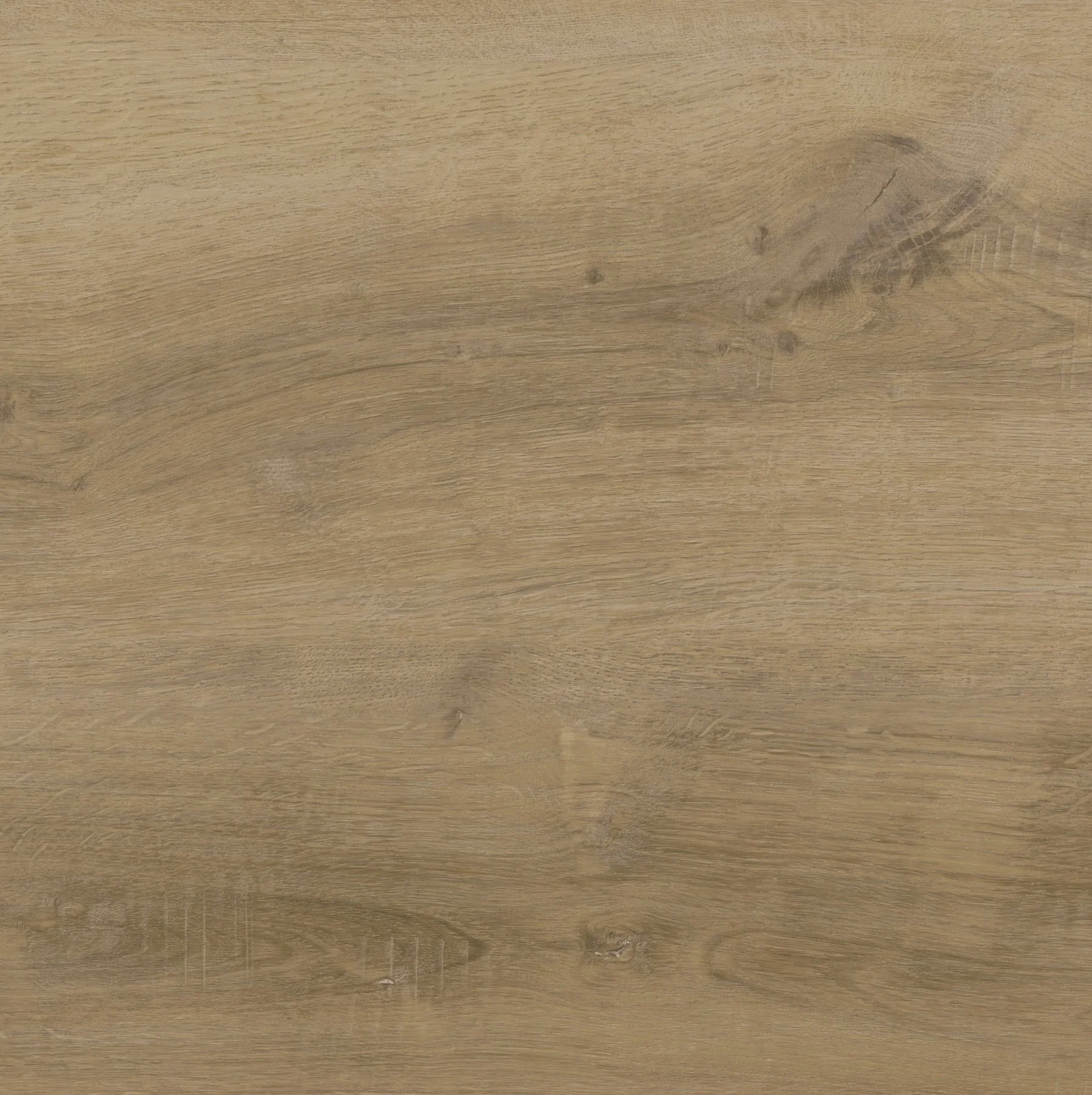 Whisky Barrel Oak | 88116