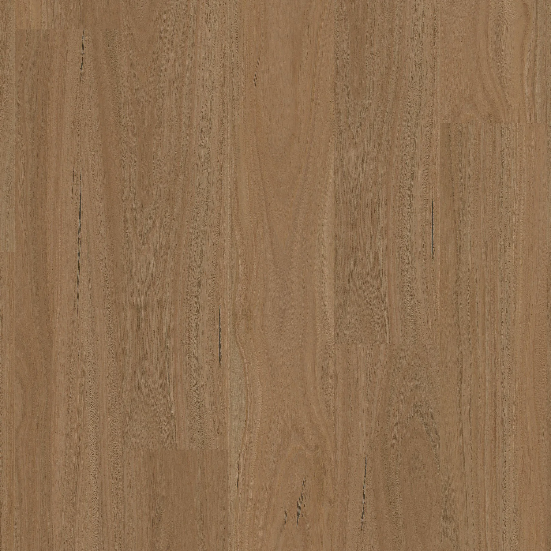 3859 Australian Cypress Floor.jpg