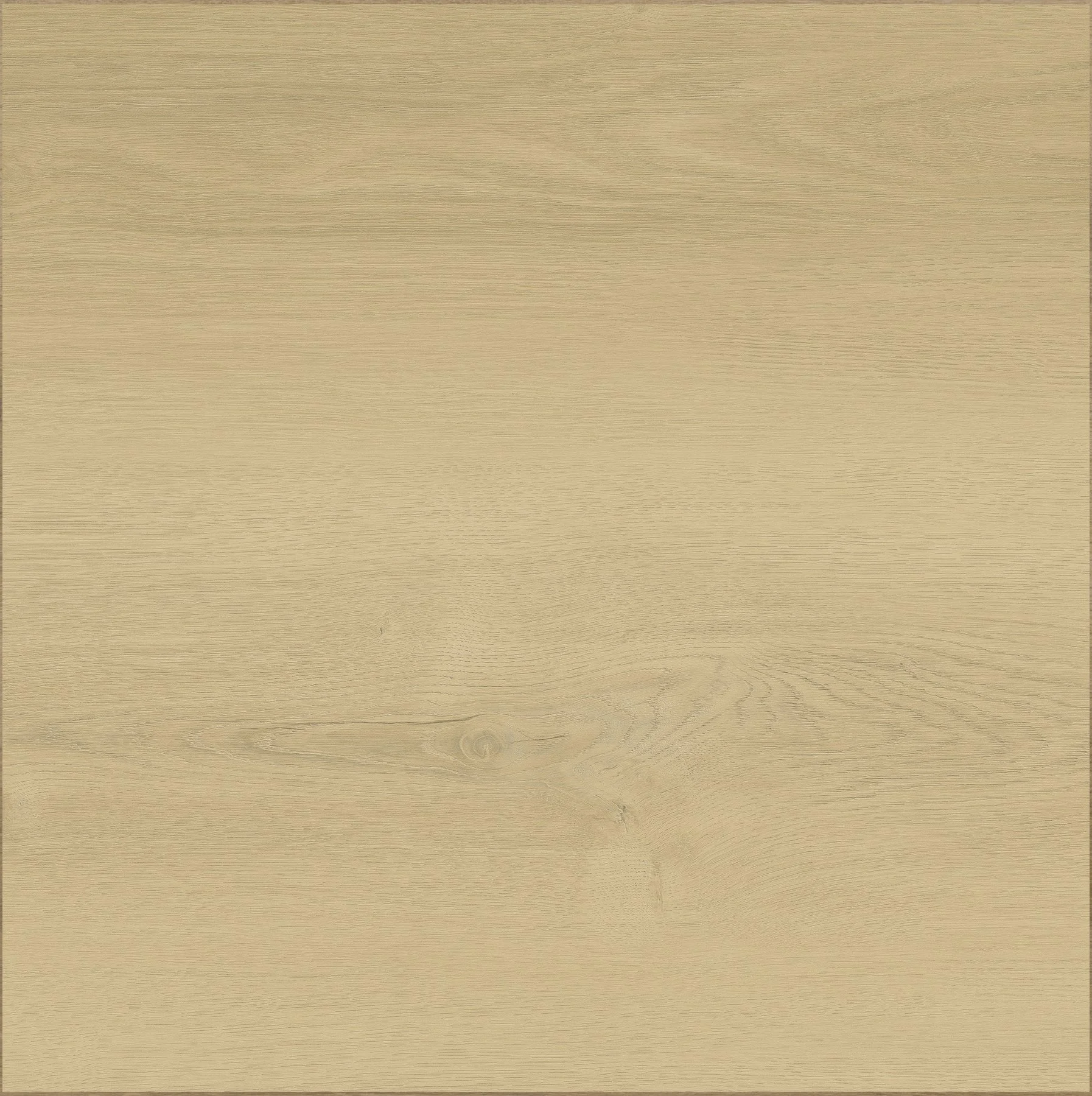 European Oak | 88114