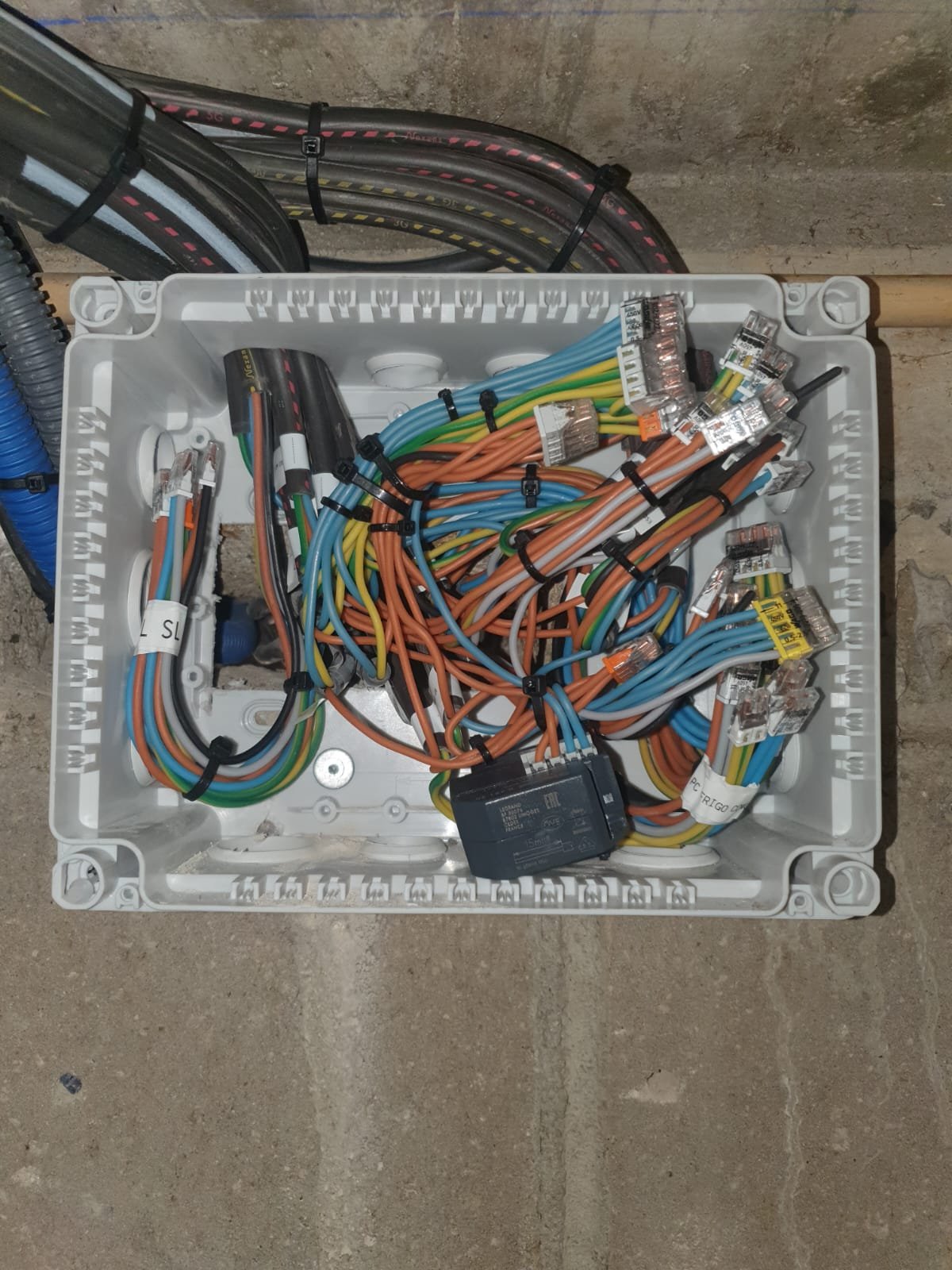 PHOTO-2025-07-09-13-30-51 (1).jpg