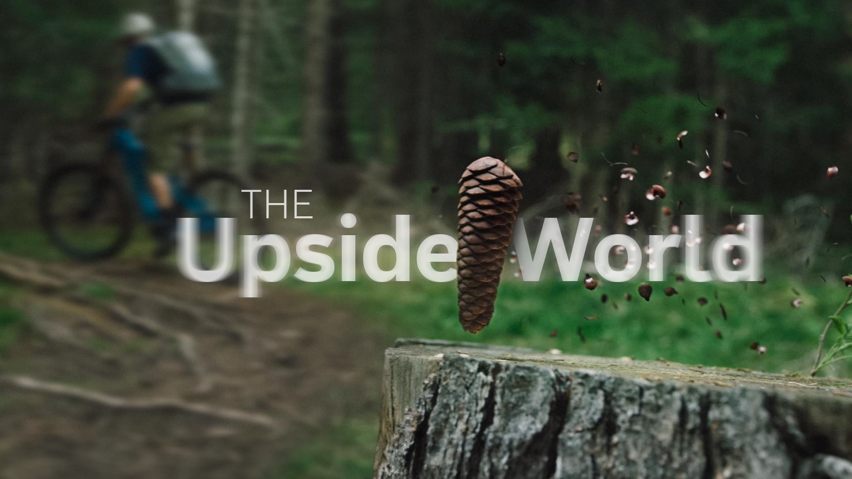 The Upside World – Bosch eBike
