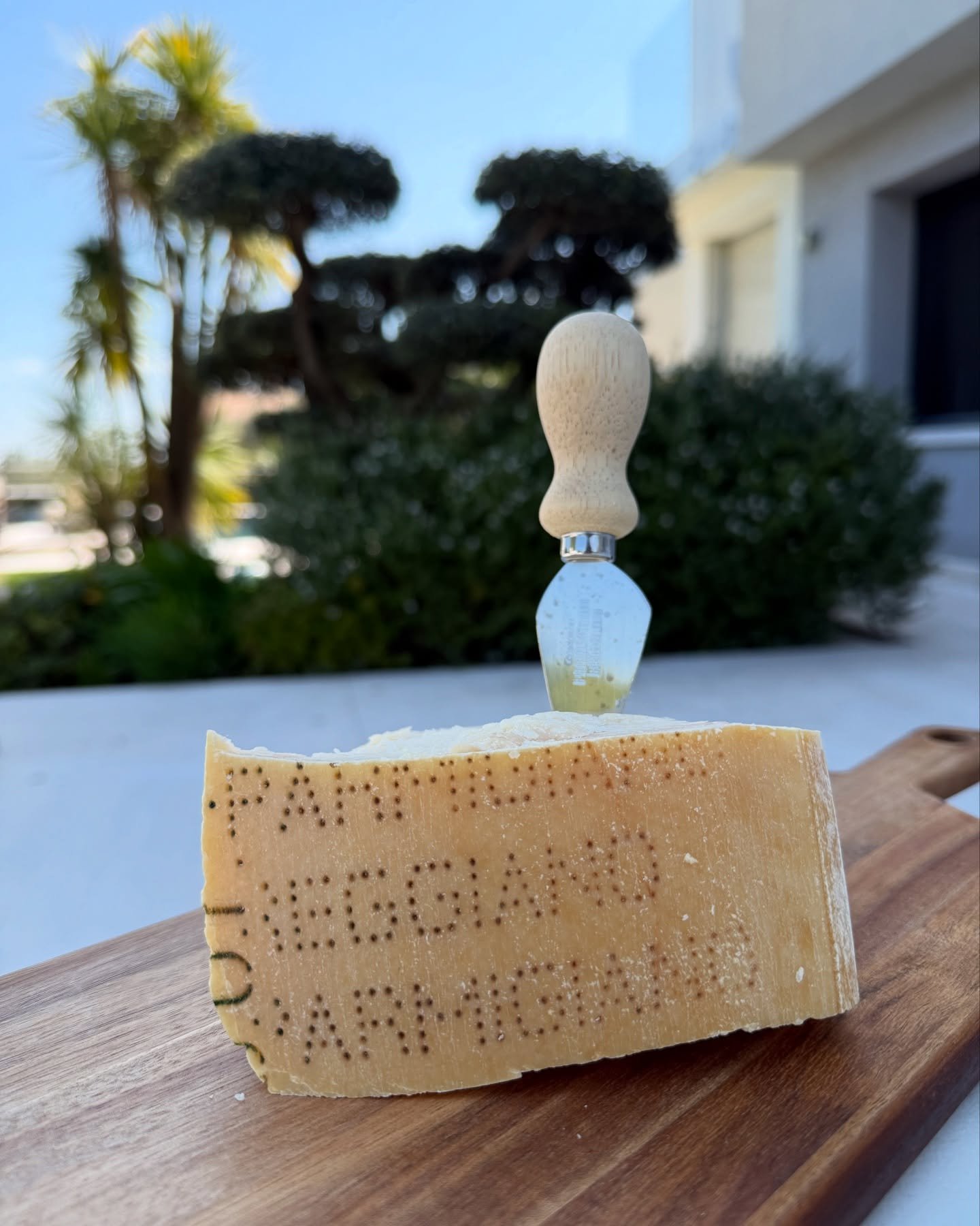 Parmigiano Reggiano 🧀🇮🇹
#parmigianoreggiano #bonalumifam #parmigianoreggianodop