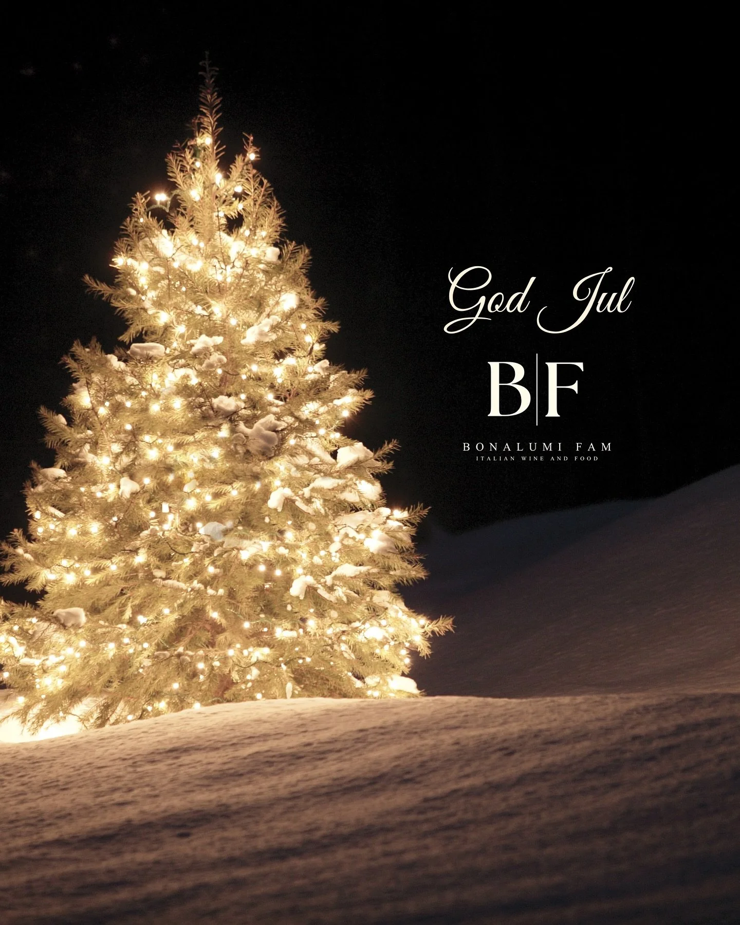 God jul fr&aring;n Bonalumi Fam ✨🎄

#bonalumifam #godjul