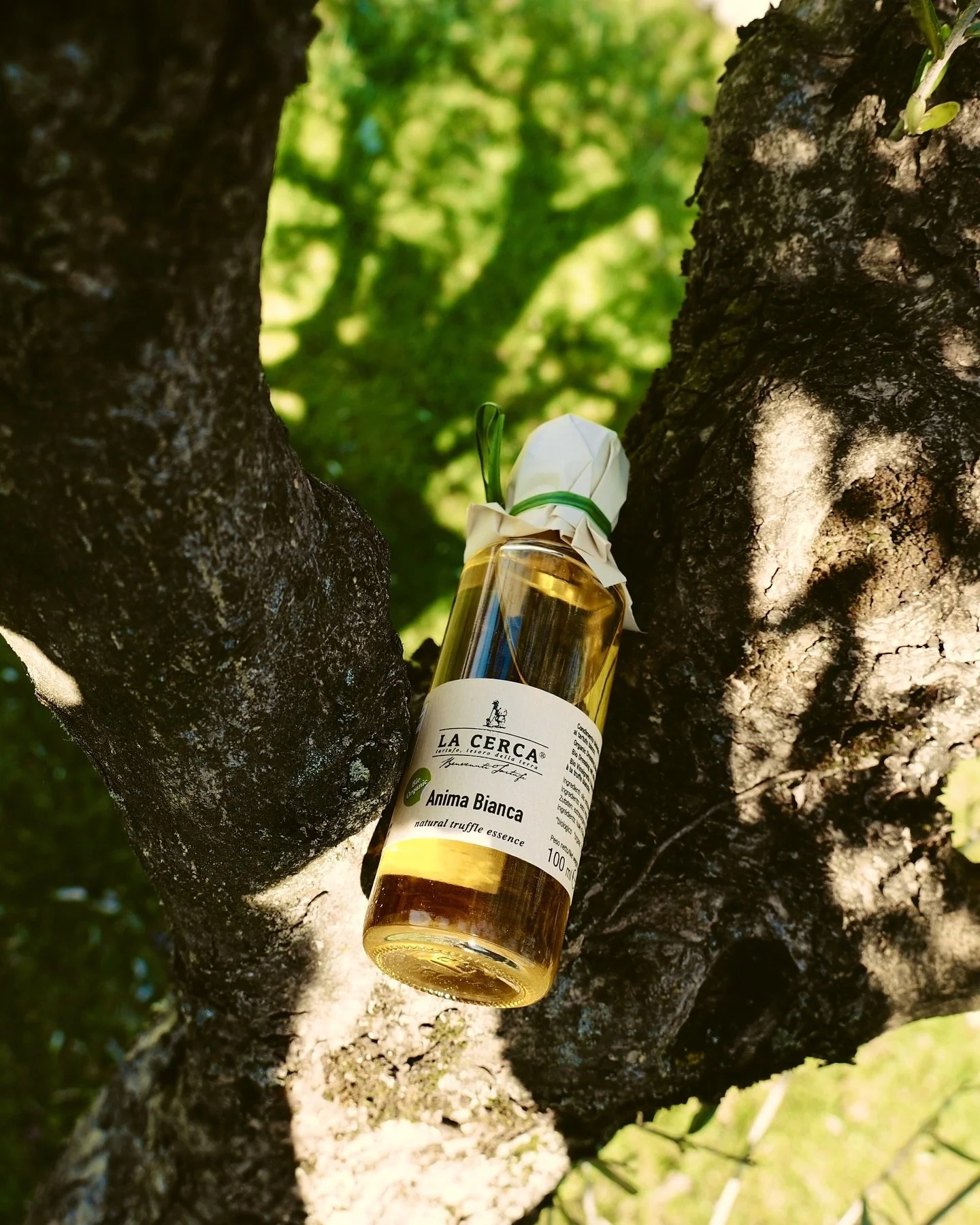 Glad p&aring;sk 🐰💐

#gladp&aring;sk #bonalumifam #italianfood