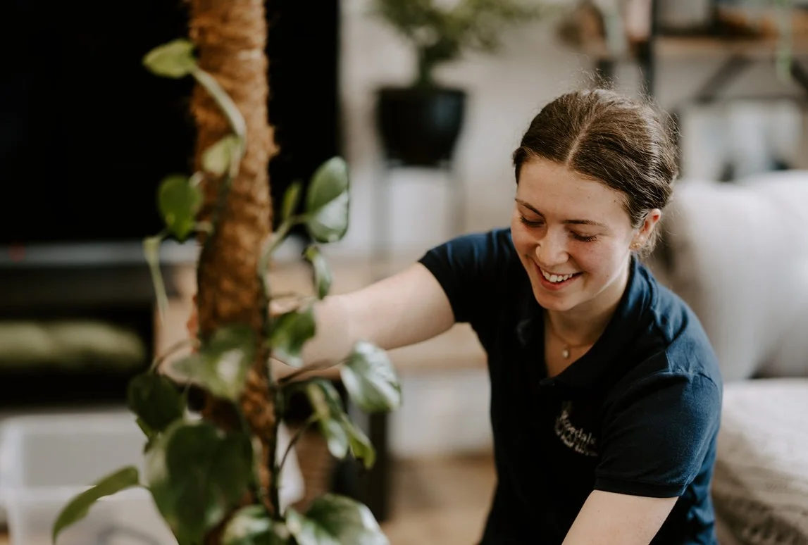 Smiling Girl horticultural plant technician giving care to climbing plant on moss pole. residential home background.
