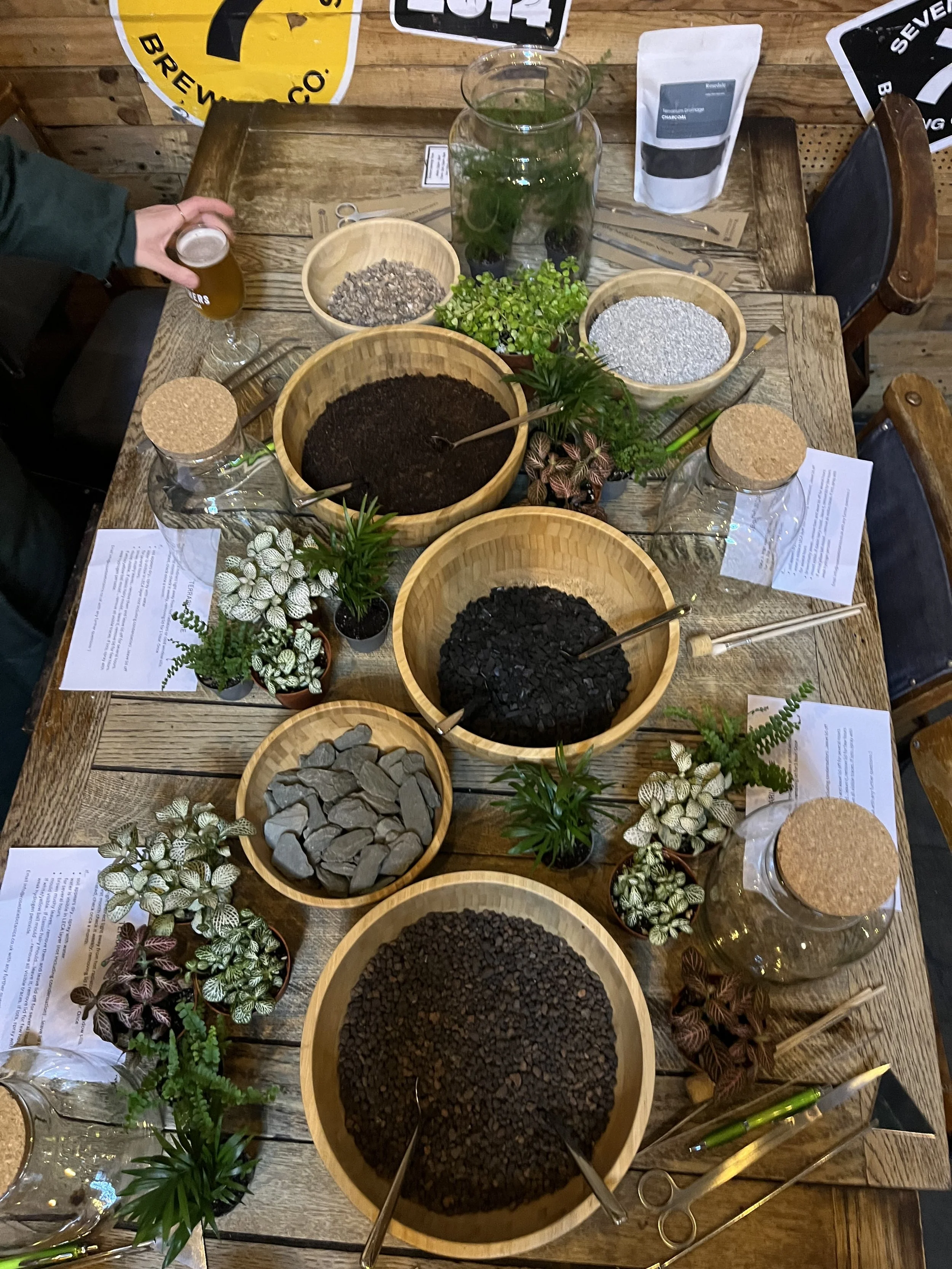 Terrarium Workshop (15th March)
