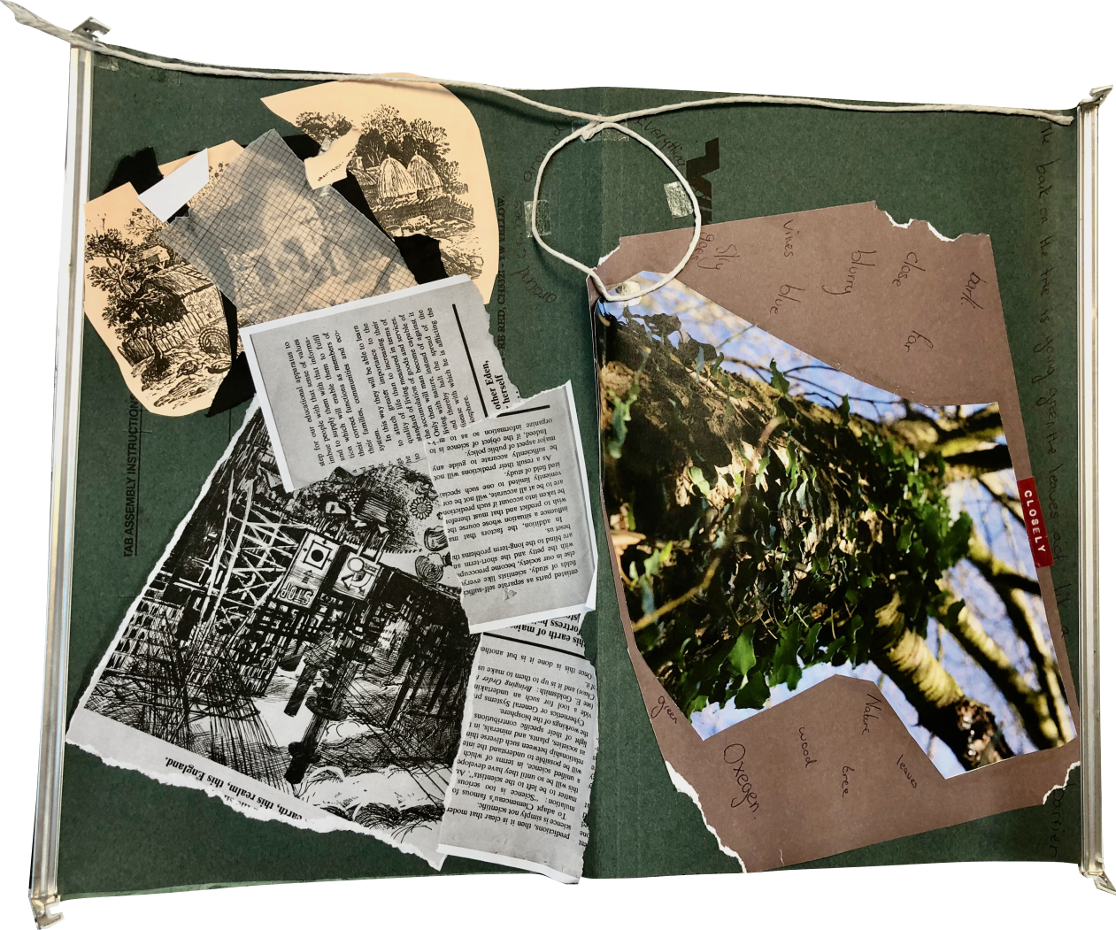 Layouts