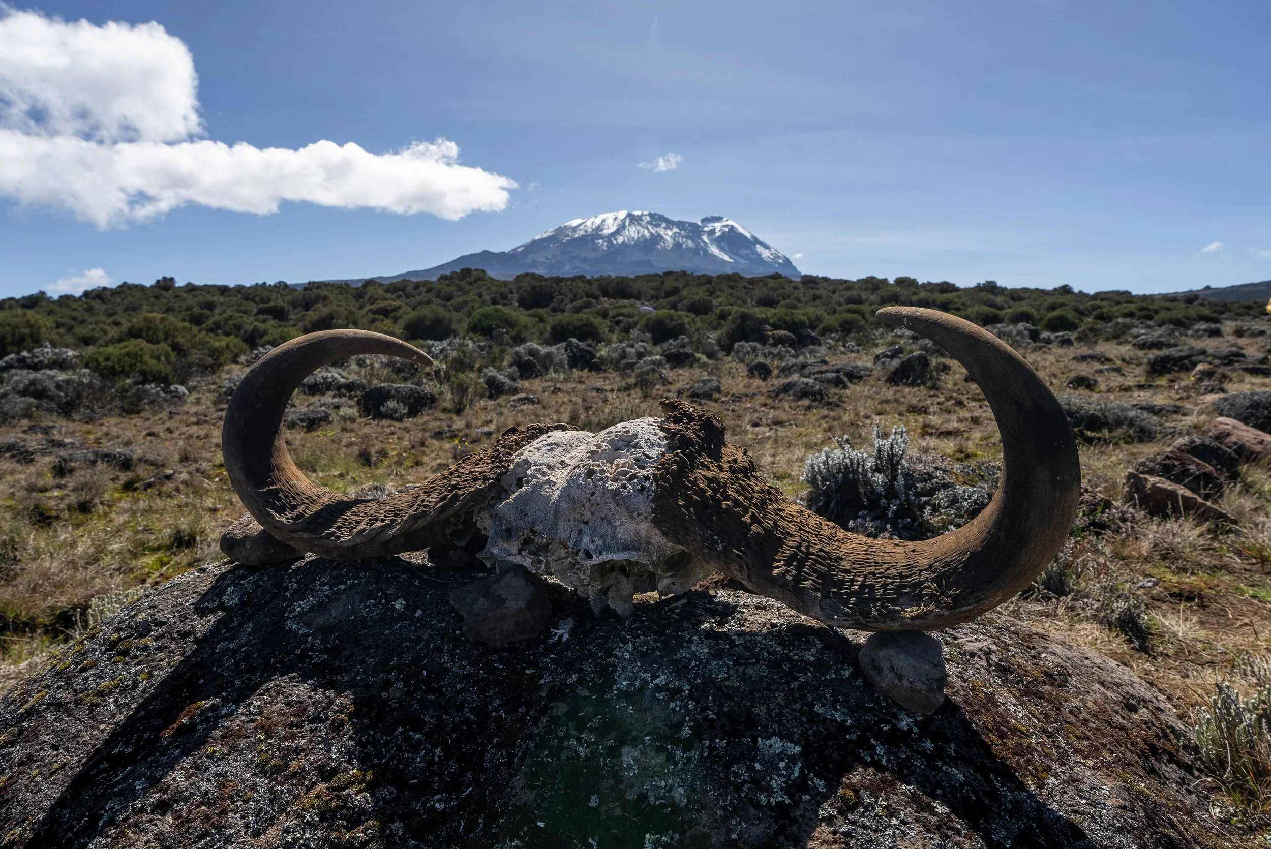 Kili Day 3 - Shira to Shira 2-12.jpg