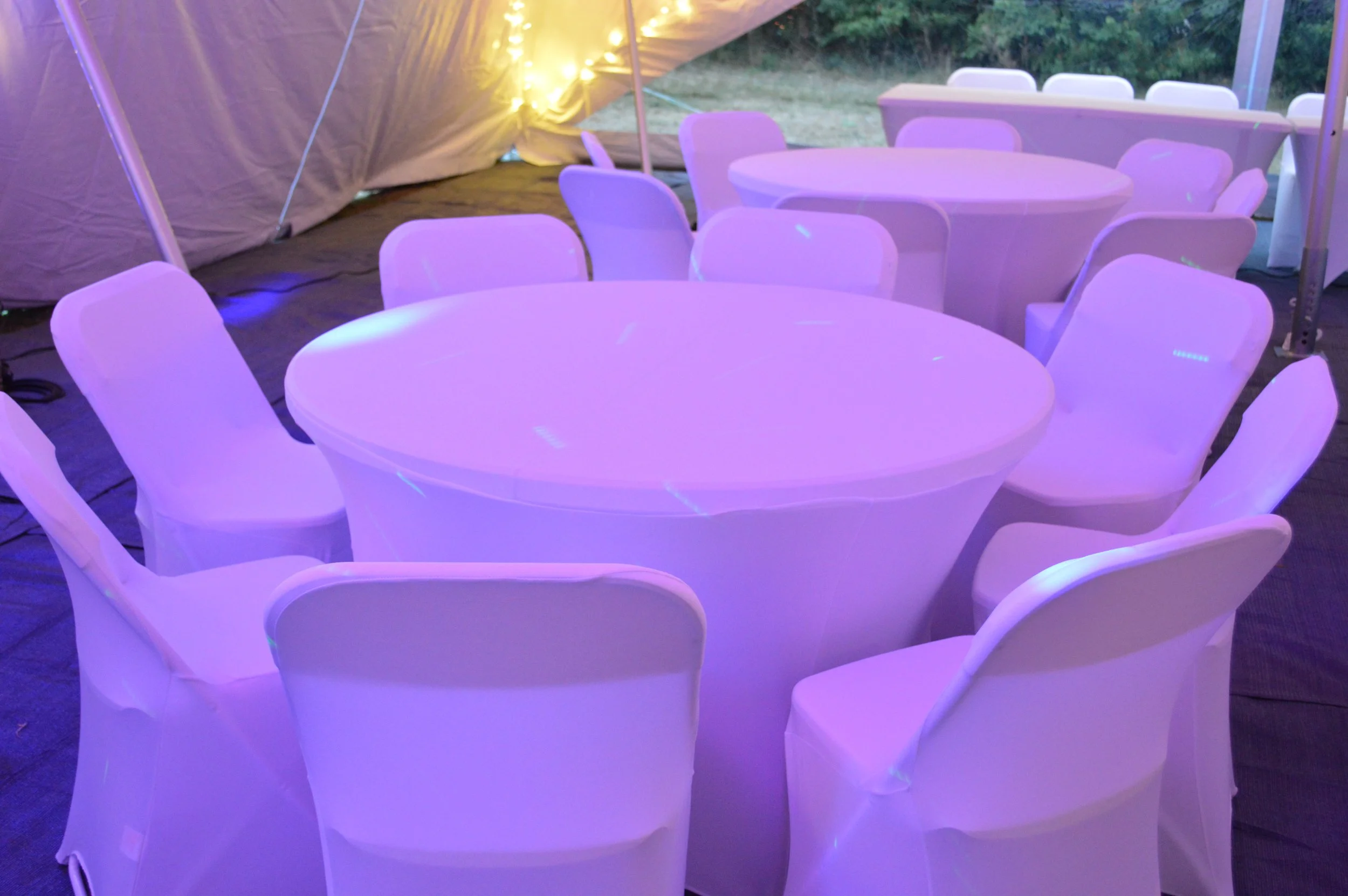 White Stretch Chair covers