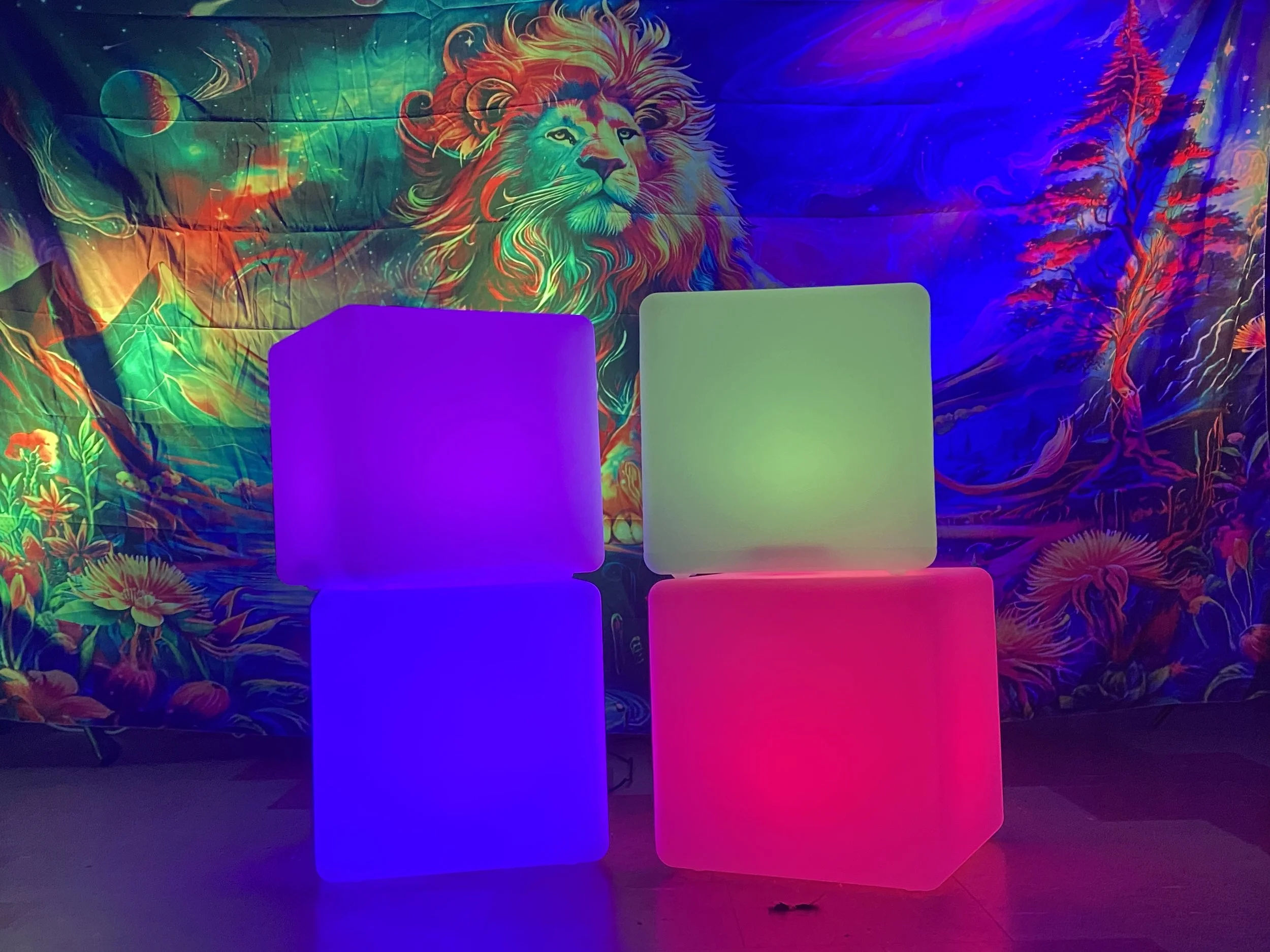 Disco Cubes