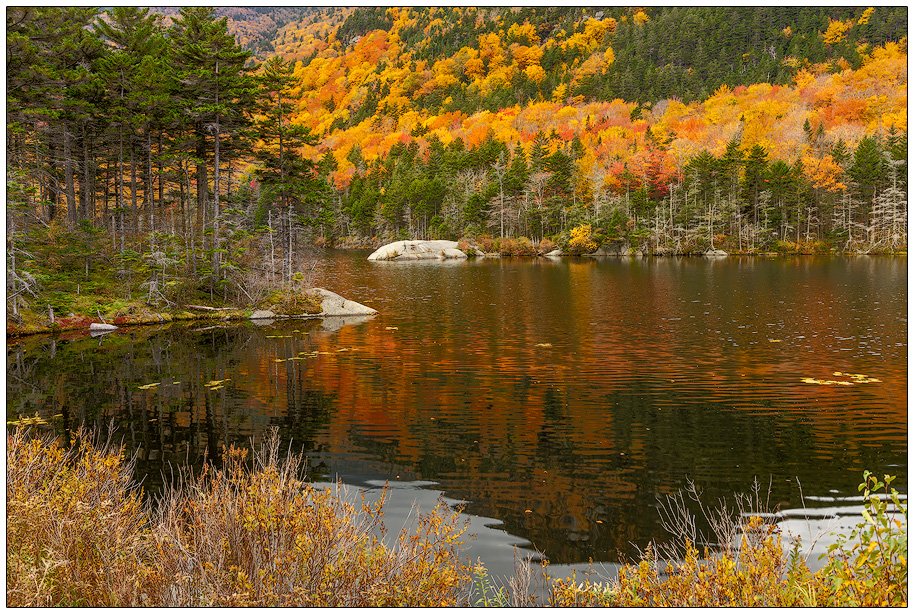 Autumn on Beaver Pond
Woodstock, NH