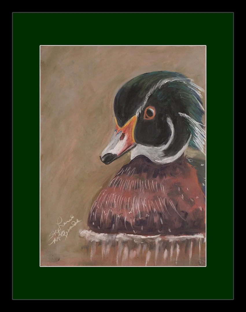 QUIET WATCHER [1080@72] FRAMED MOCK UP-sharpened.jpg