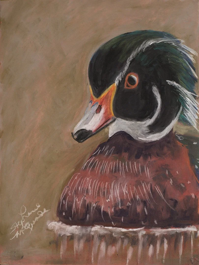 The Quiet Watcher  -  Reproduction Print