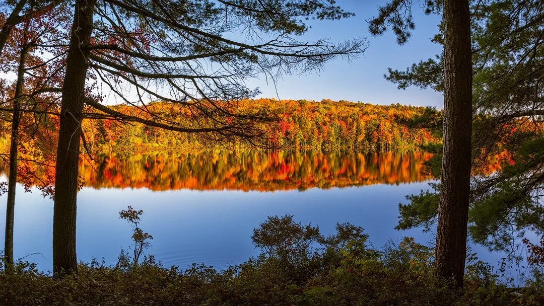 ROLLINS - ACROSS THE POND [WEB]