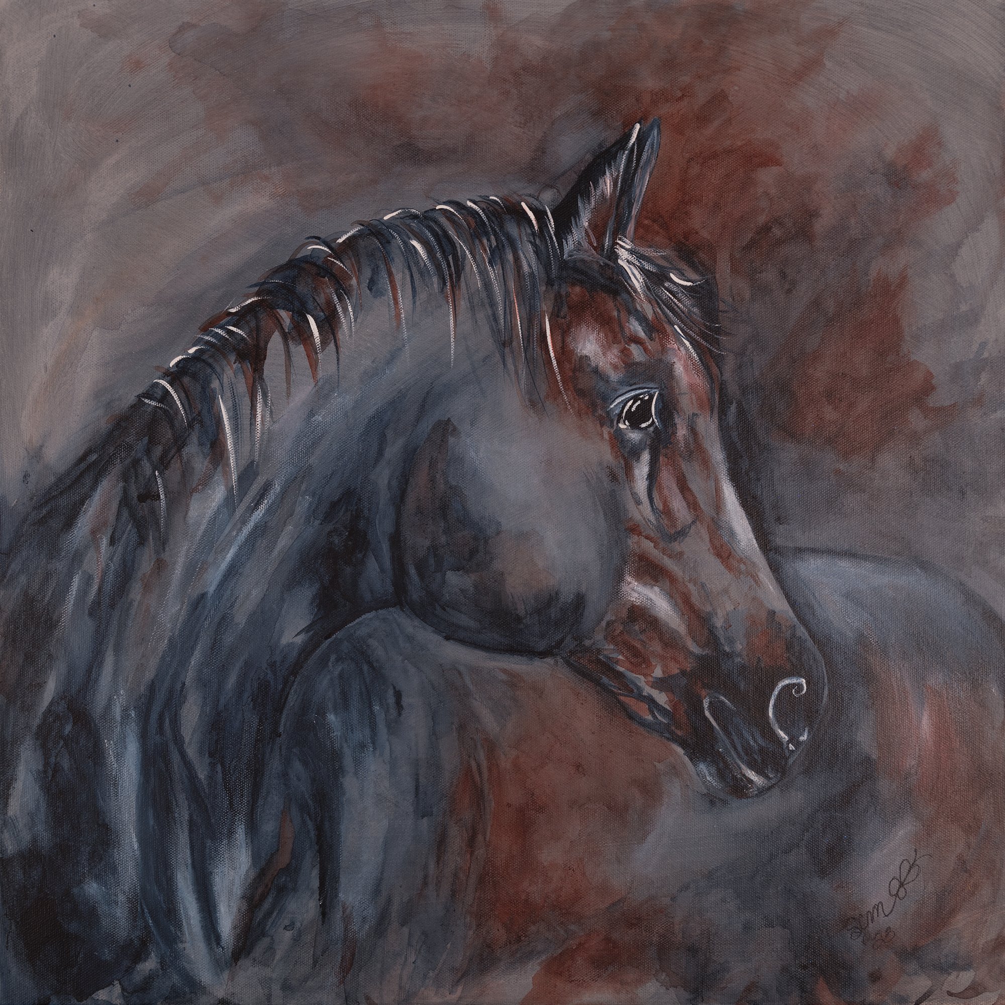 Shadow Mare
