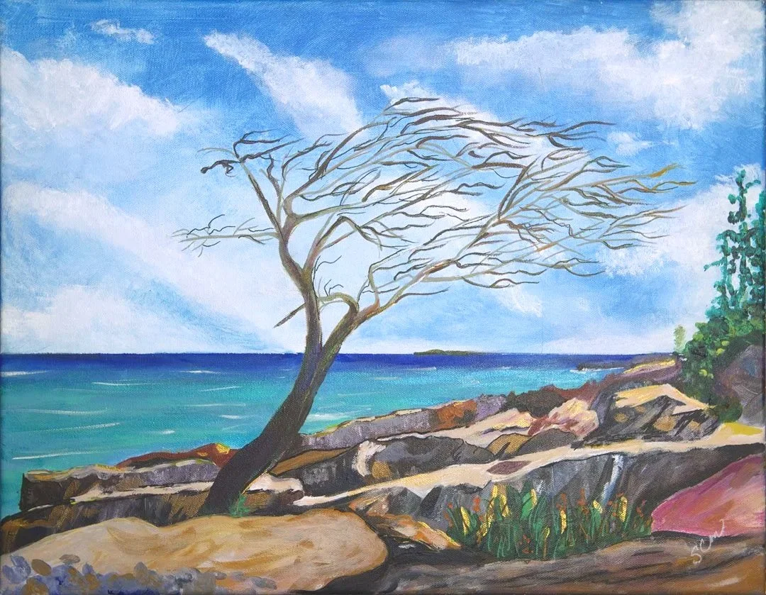 Fine art acrylic painting by Stephanie McQuade depicting a solitary windswept tree growing from a rocky coastal landscape. The tree bends gracefully toward the sea above turquoise waters, rugged shoreline rocks, and a bright sky filled with soft clou