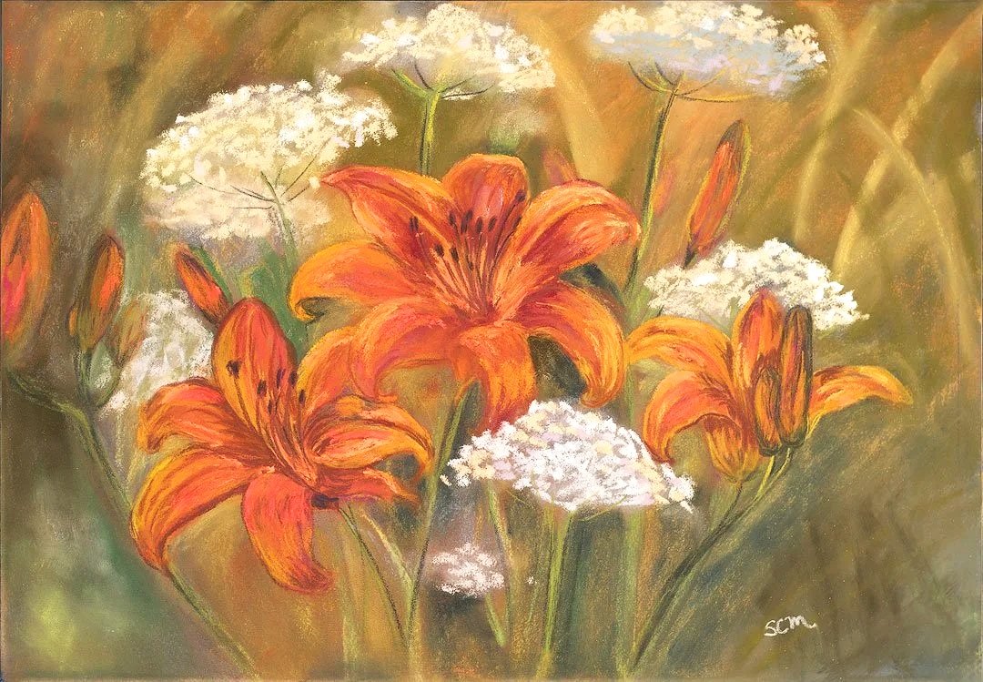 Fine art pastel painting of bright orange lilies blooming among delicate white Queen Anne’s lace against a soft, earthy green and golden background, by Stephanie McQuade.