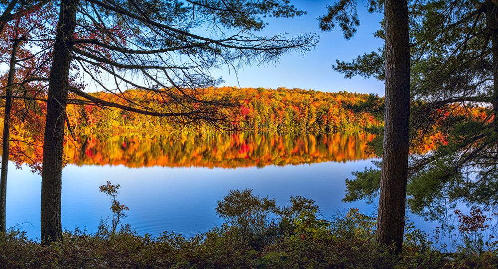 Across the Pond
Rollins Pond, Gilmanton NH