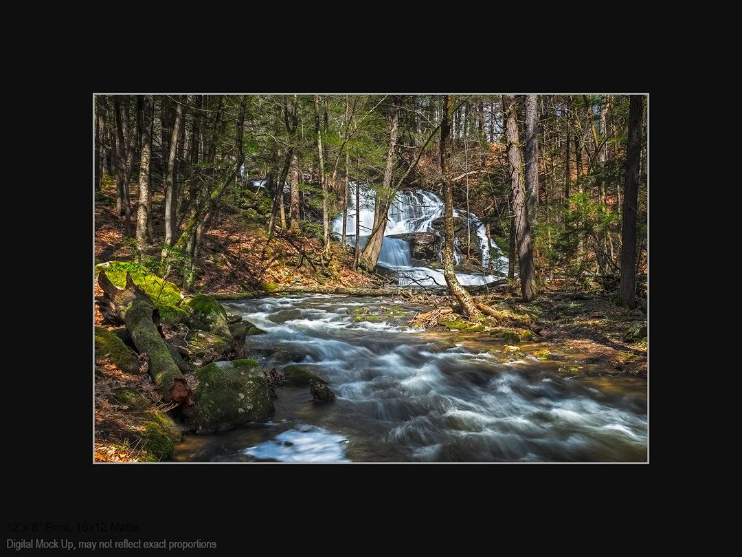 20180428_7044-8x12-in-12x16-Black-Matte.jpg