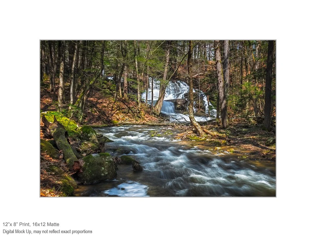 20180428_7044-8x12-in-12x16-Matte.jpg